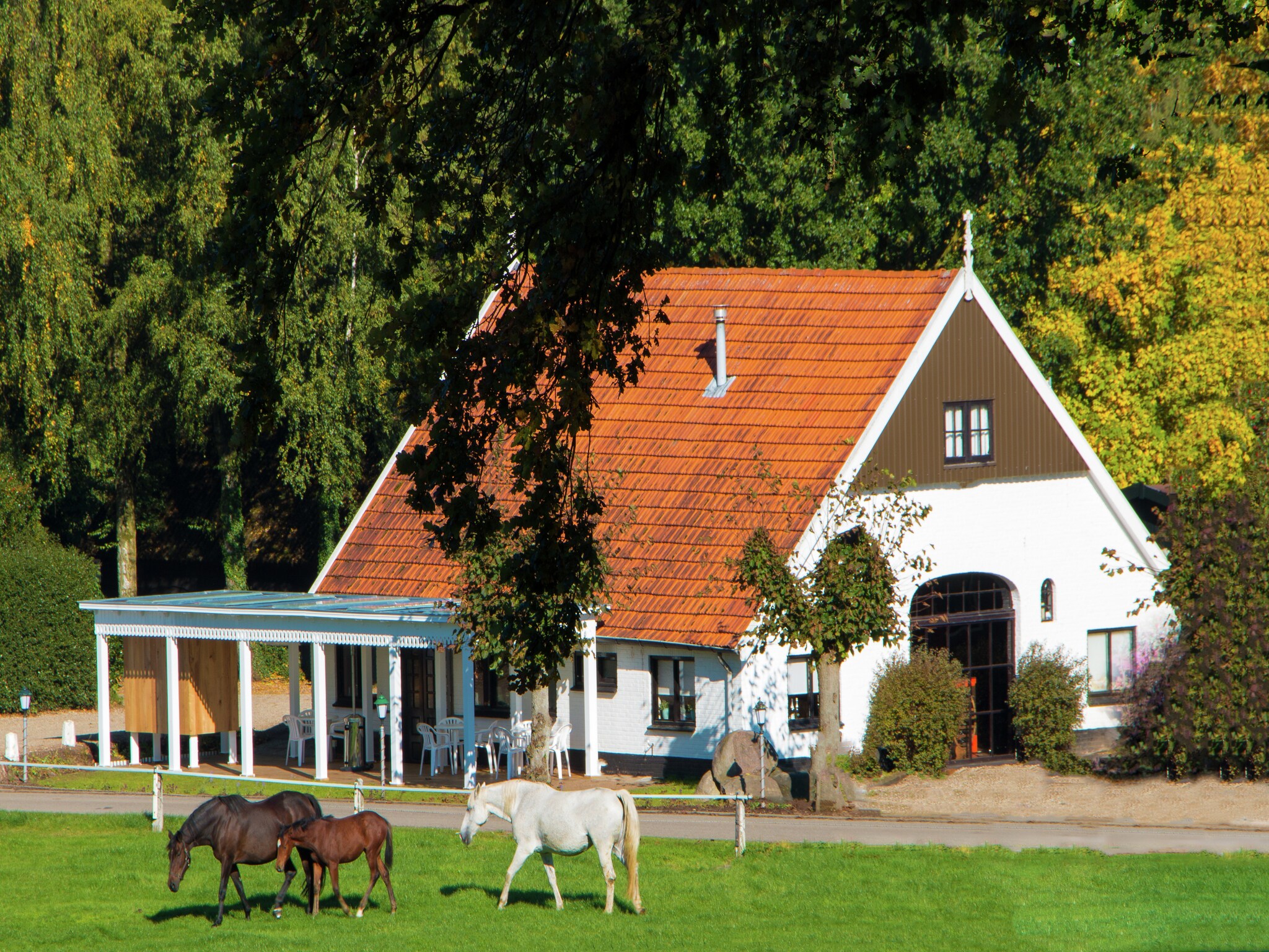 Ferienhaus Chaletpark Kuiperberg 7