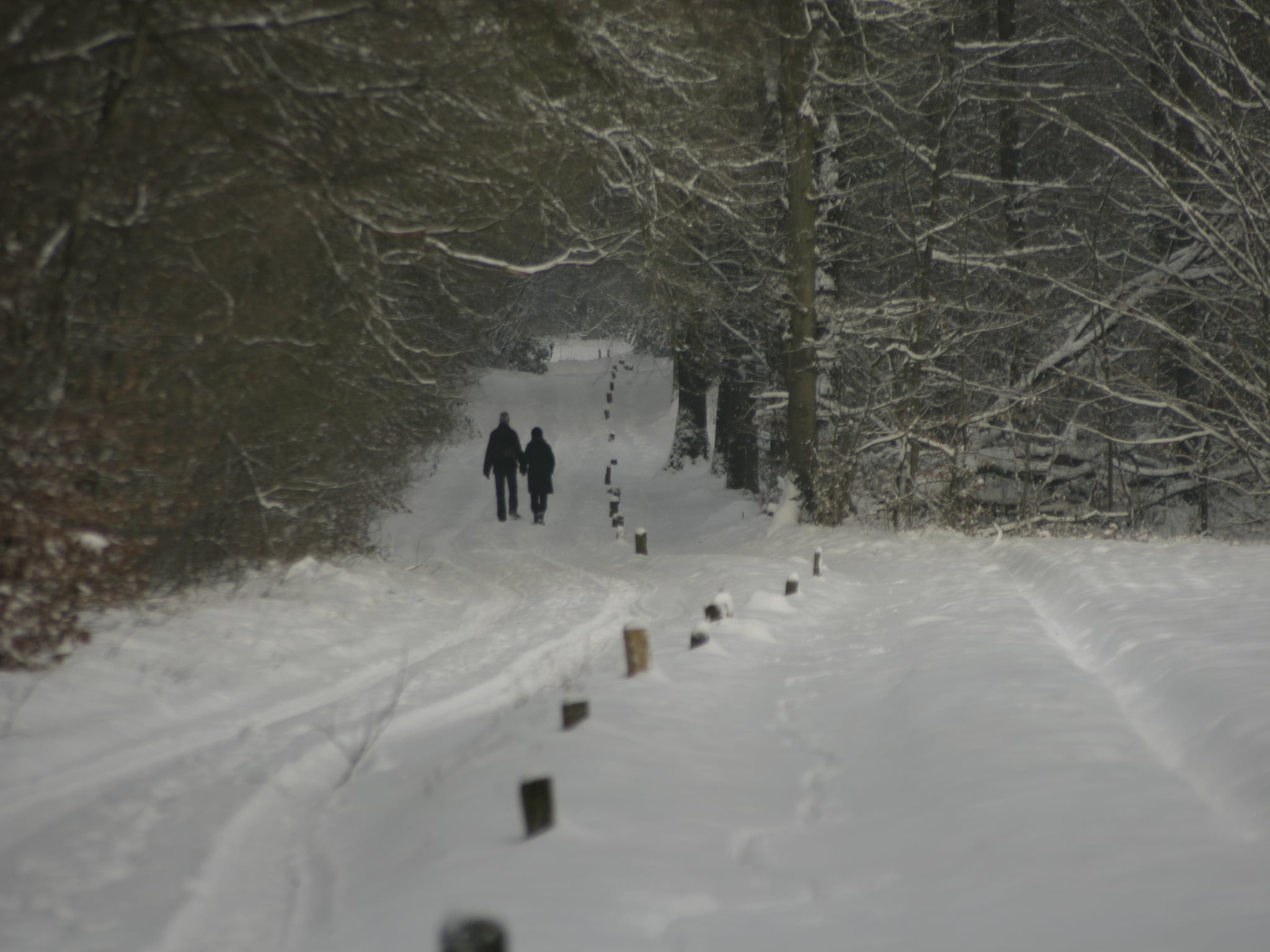 Ferienhaus Chaletpark Kuiperberg 1