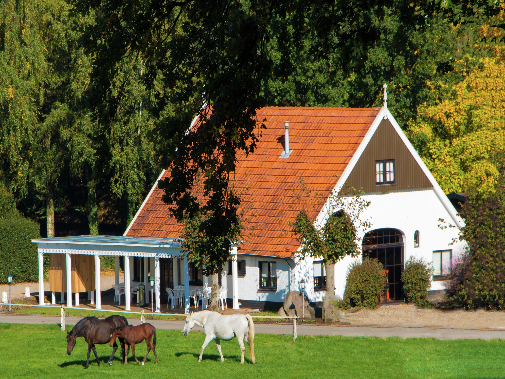 Ferienhaus Chaletpark Kuiperberg 1