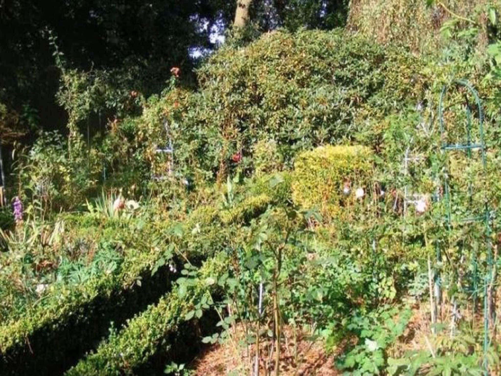  Landhaus an der Hase