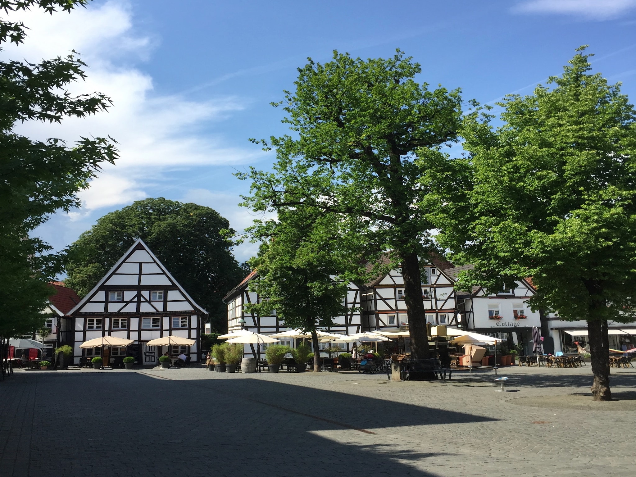   Freundlich Siedlinghausen