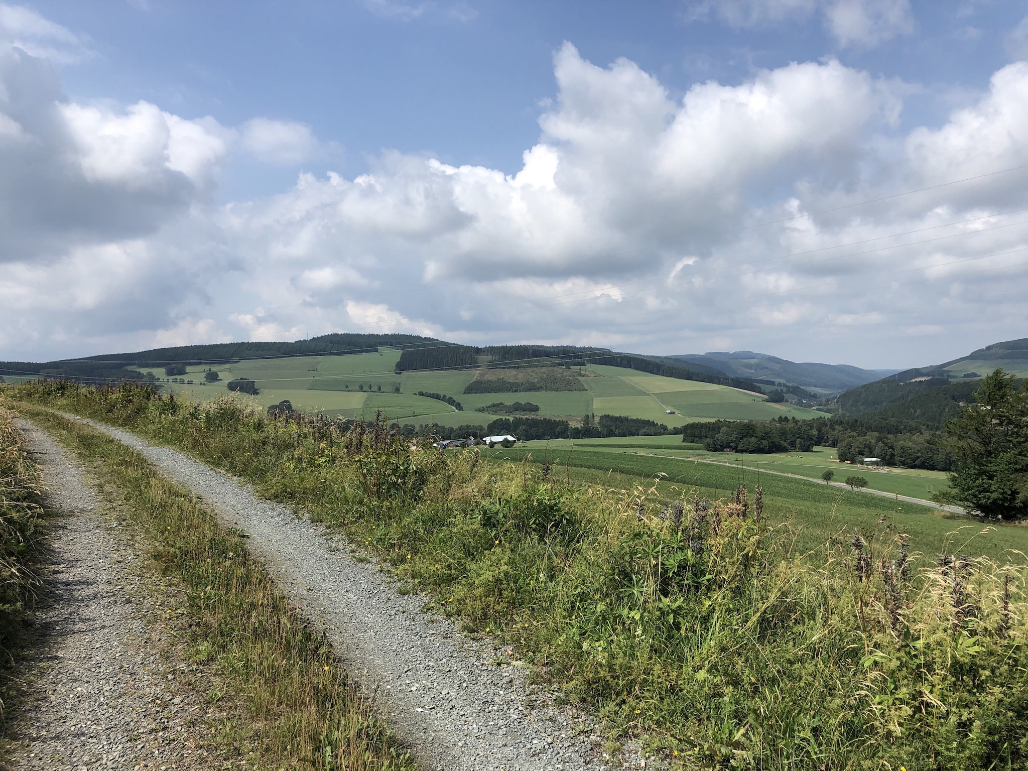   Freundlich Siedlinghausen