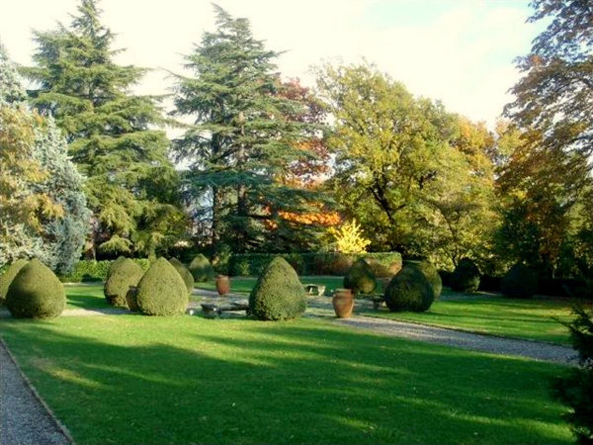 Casa di vacanze Castello Grimalda - Conchiglie