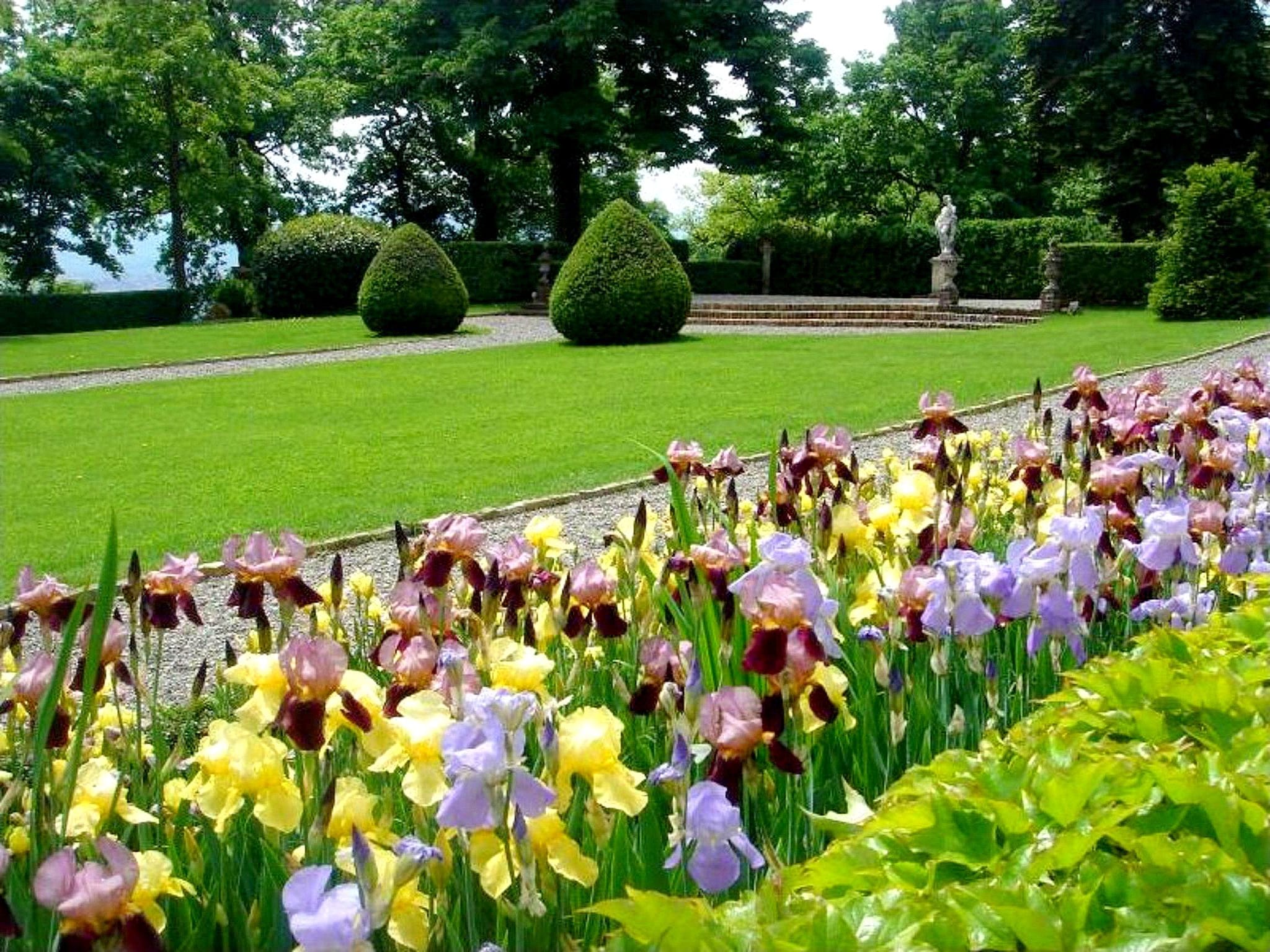 Vacation home Castello Grimalda - Isnardo