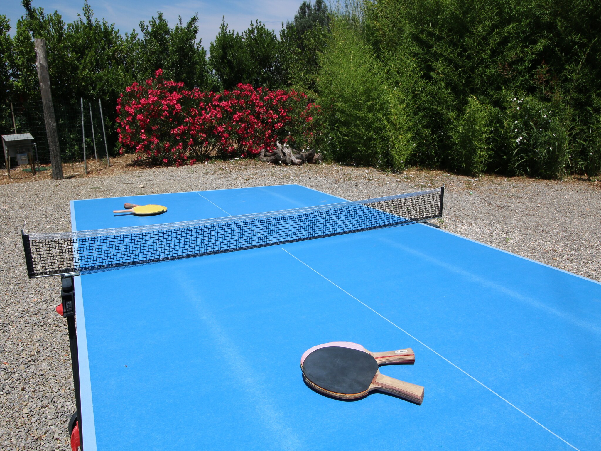 Vakantiehuis Alloro