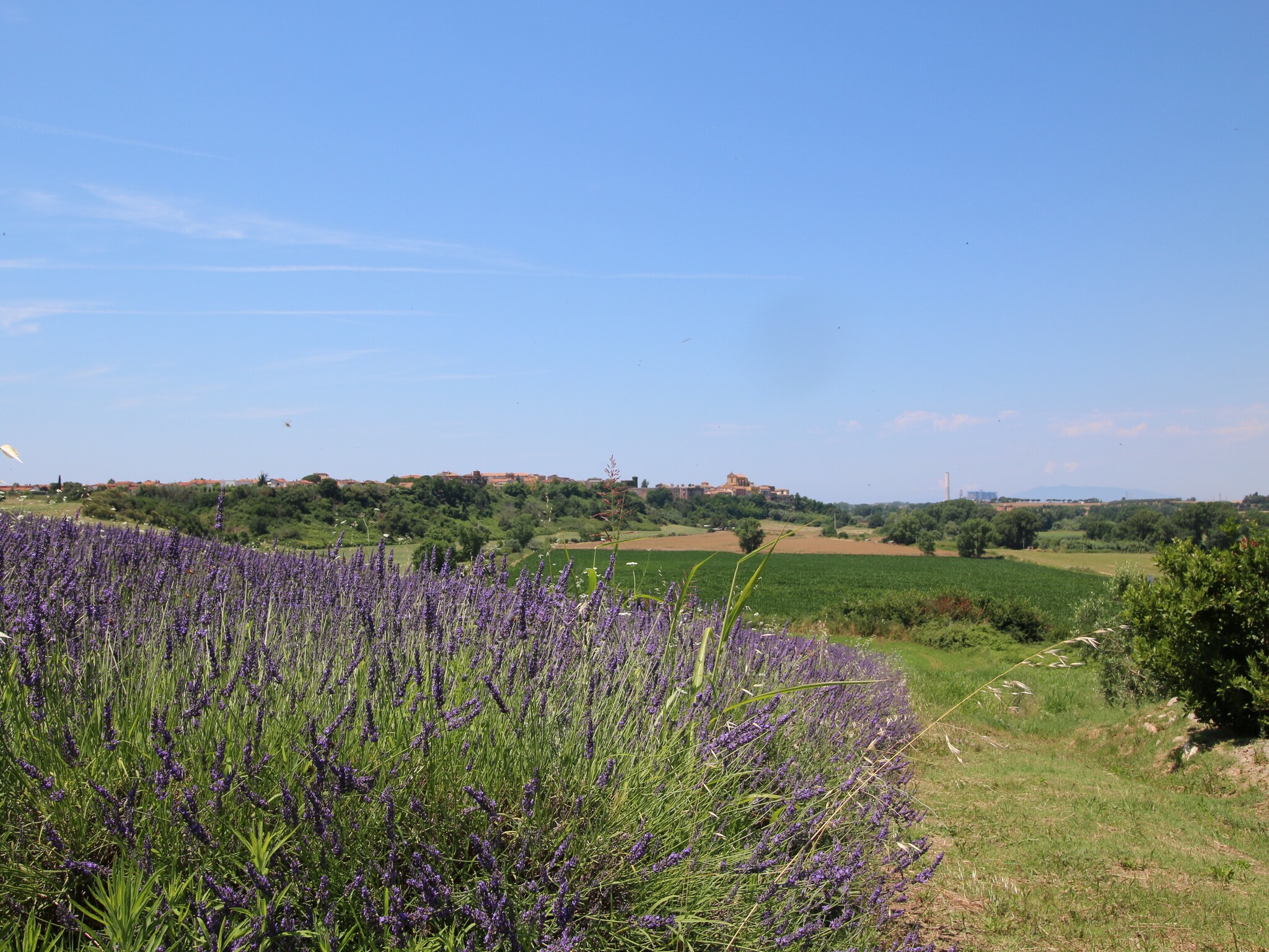 Vakantiehuis Alloro