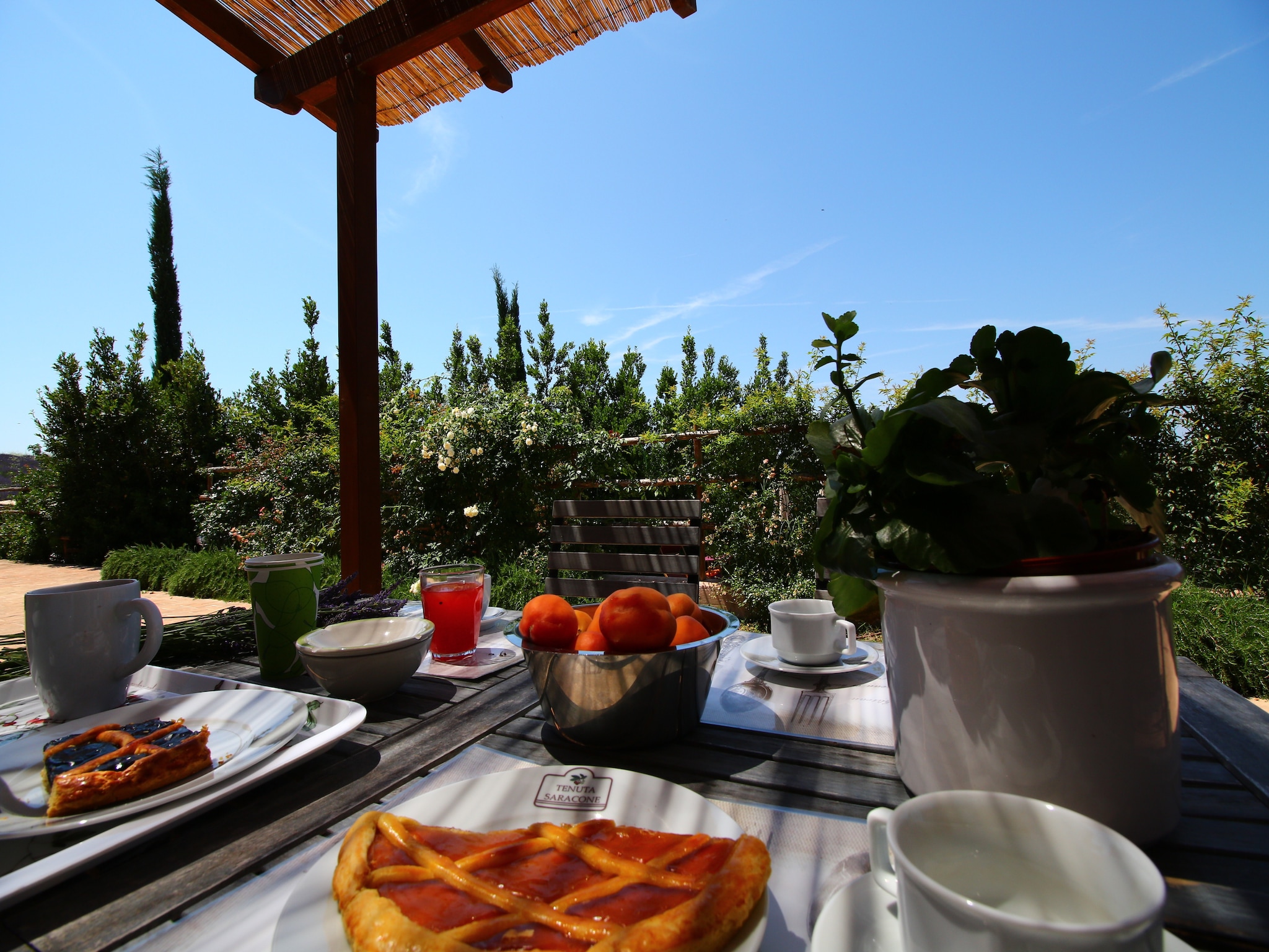 Vakantiehuis Alloro