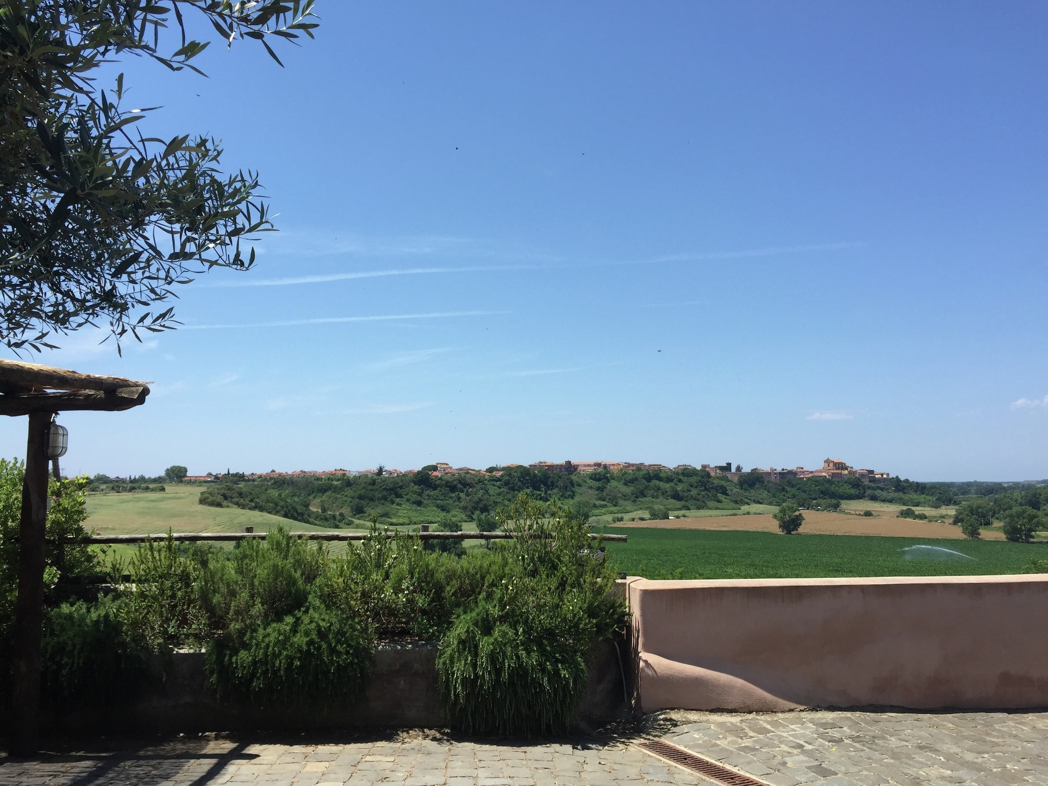 Vakantiehuis Alloro