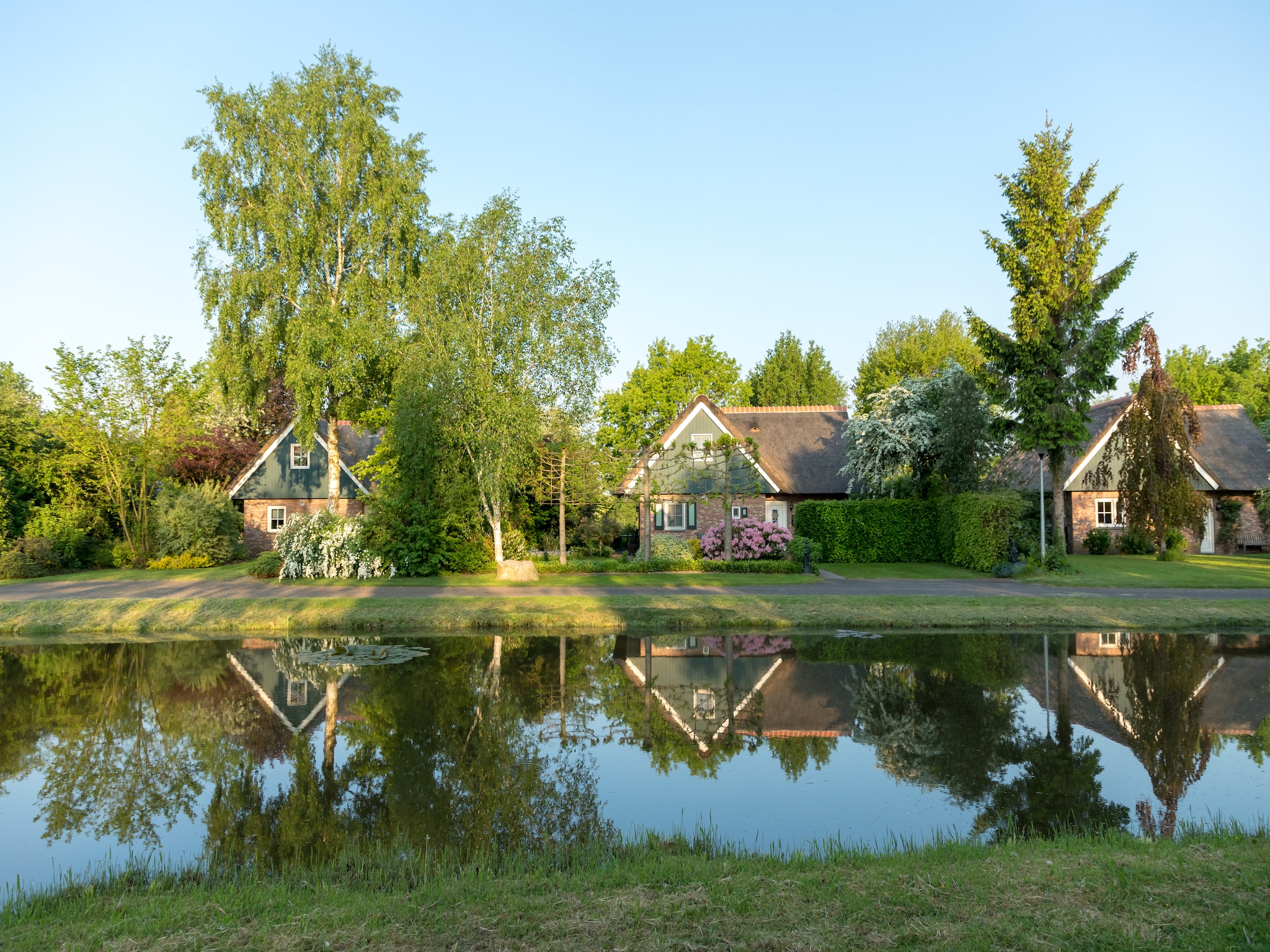   Villapark De Weerribben 3