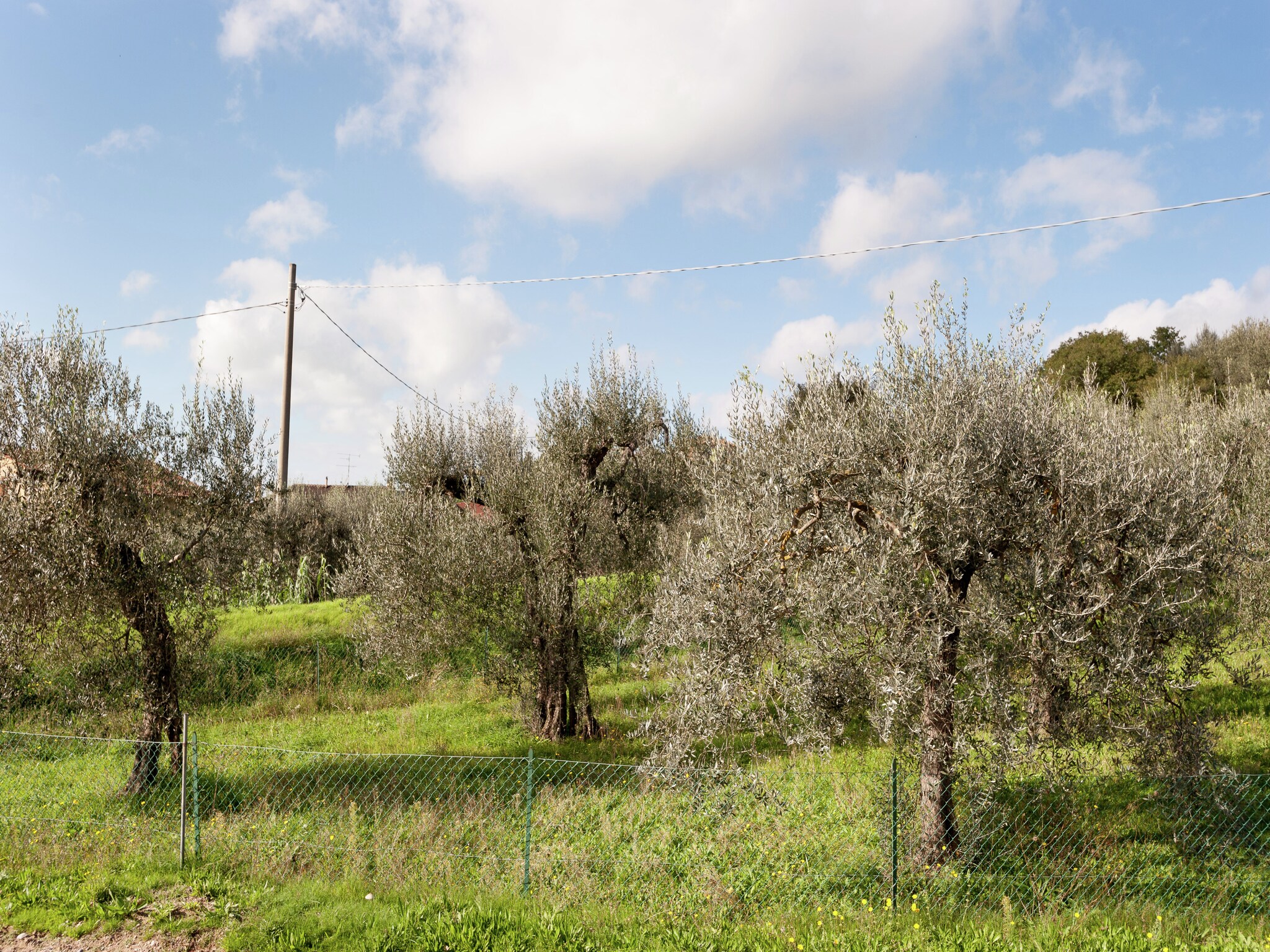 Holiday home Salice