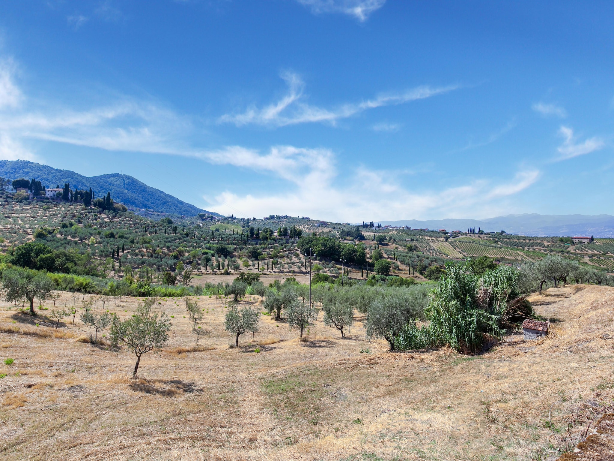 Ferienhaus La Casa dei Due Olivi