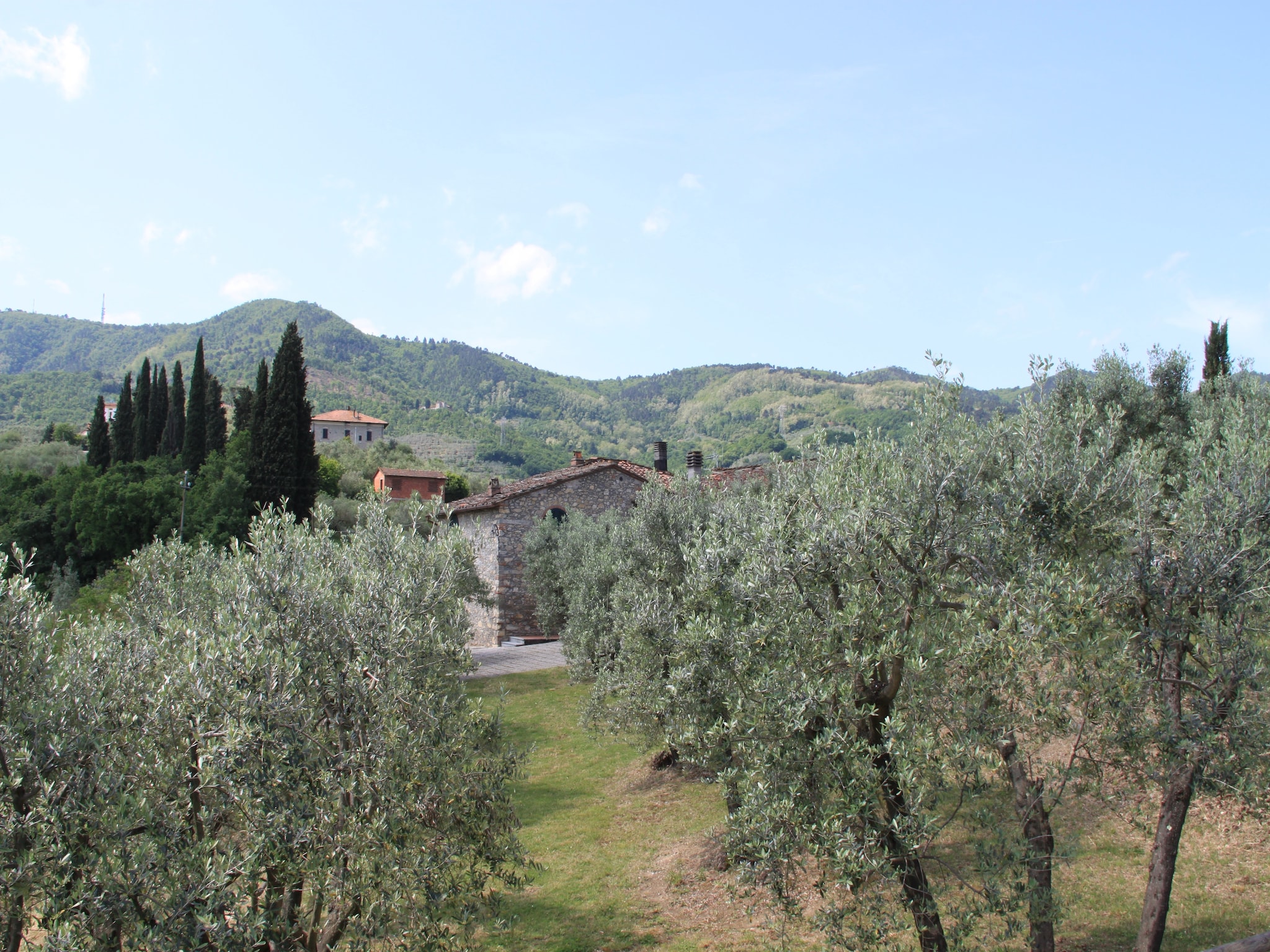 Holiday home La Casa dei Cinque Olivi