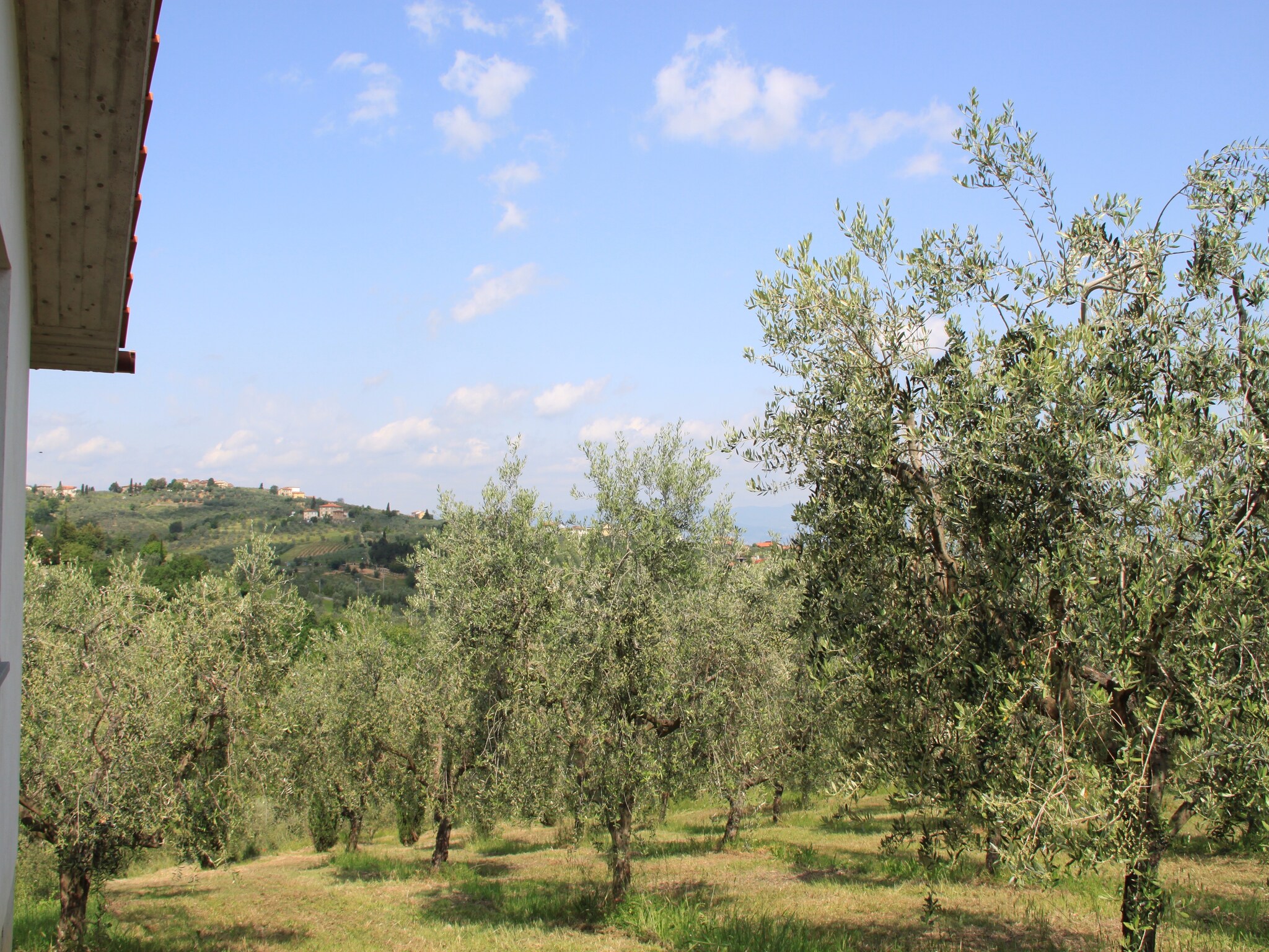 Holiday home La Casa dei Cinque Olivi