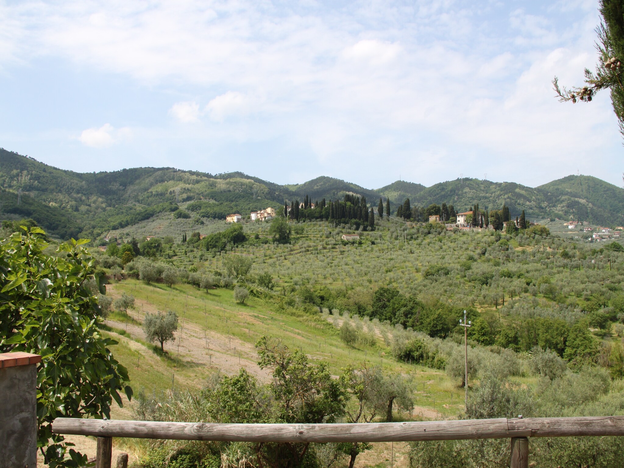 Holiday home La Casa dei Cinque Olivi