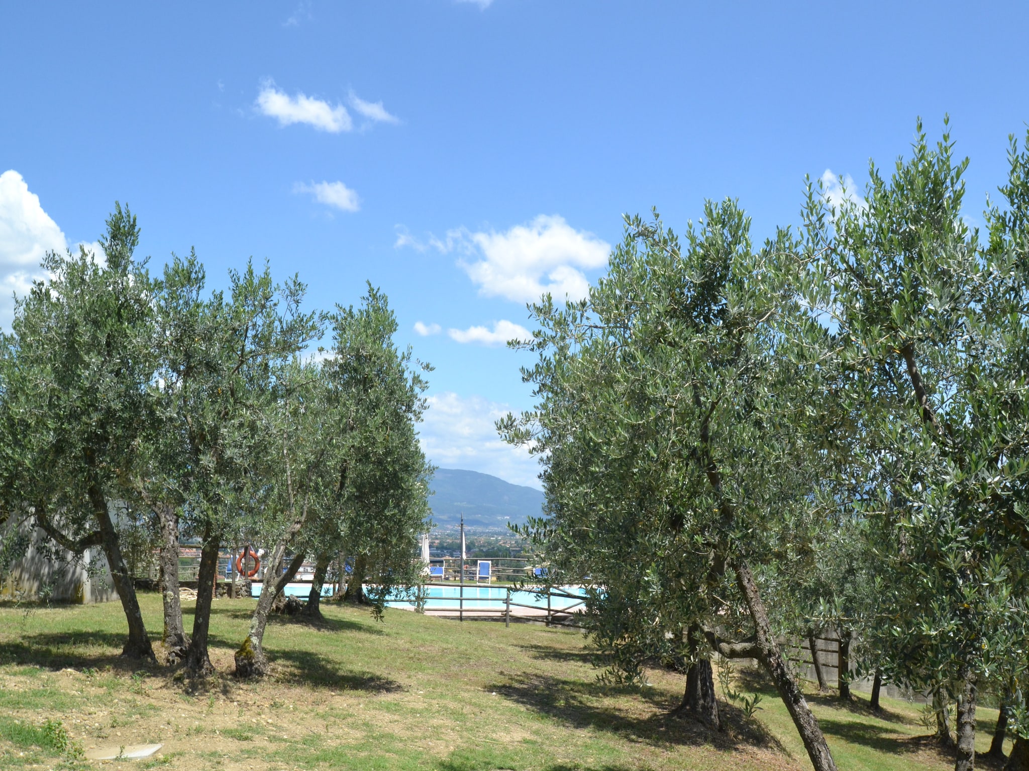 Holiday home La Casa dei Cinque Olivi