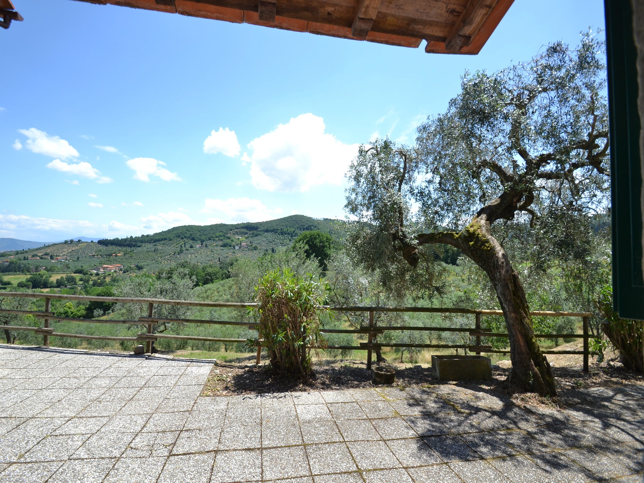 Holiday home La Casa dei Cinque Olivi