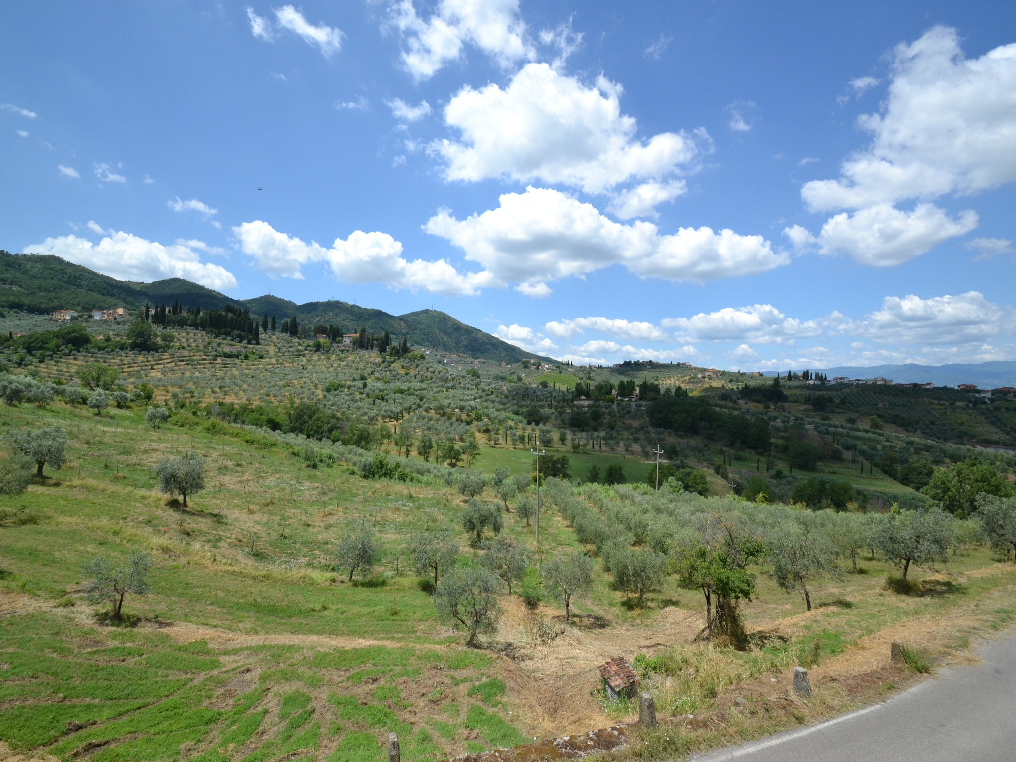 Holiday home La Casa dei Cinque Olivi