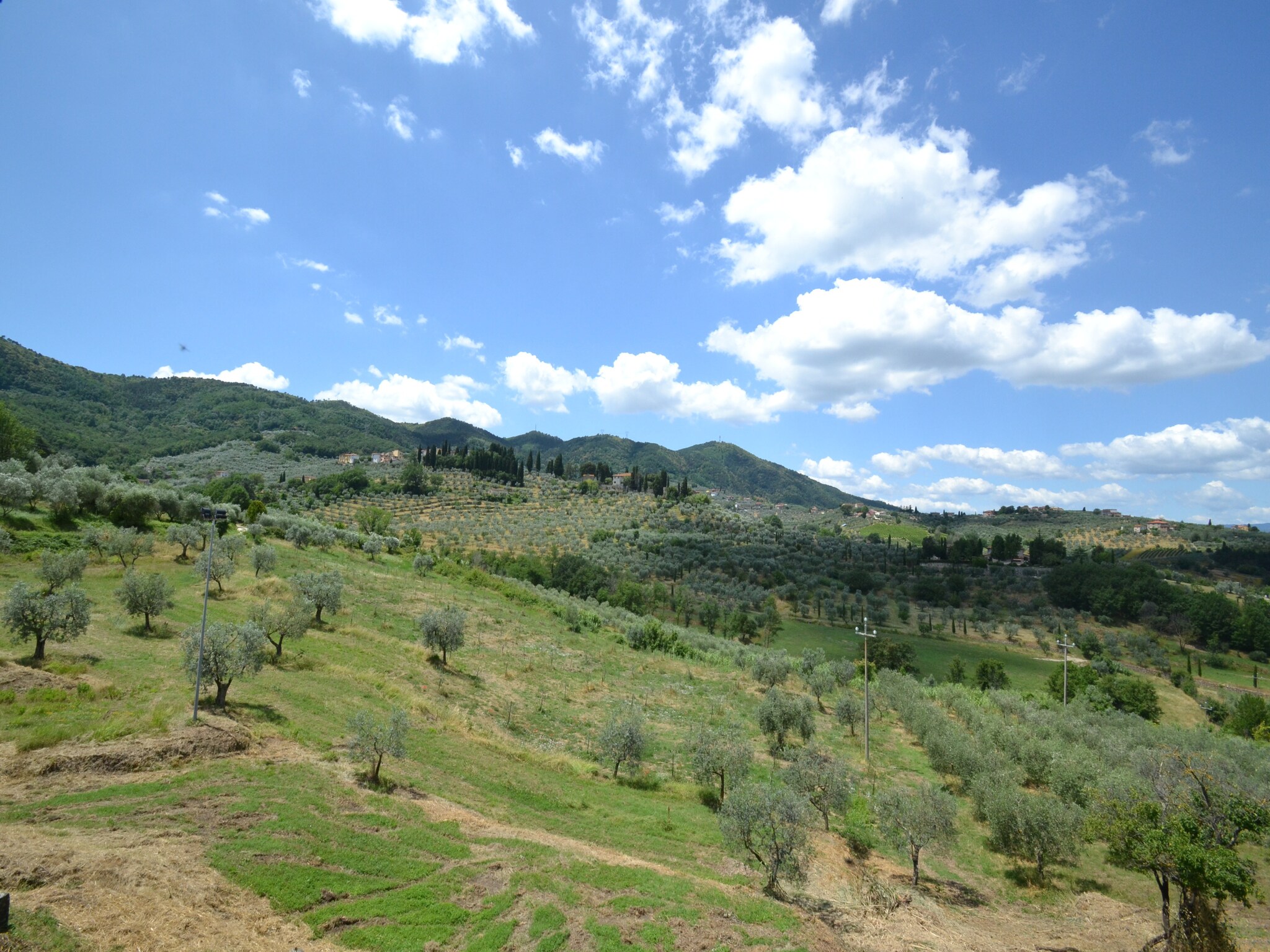 Holiday home La Casa dei Cinque Olivi