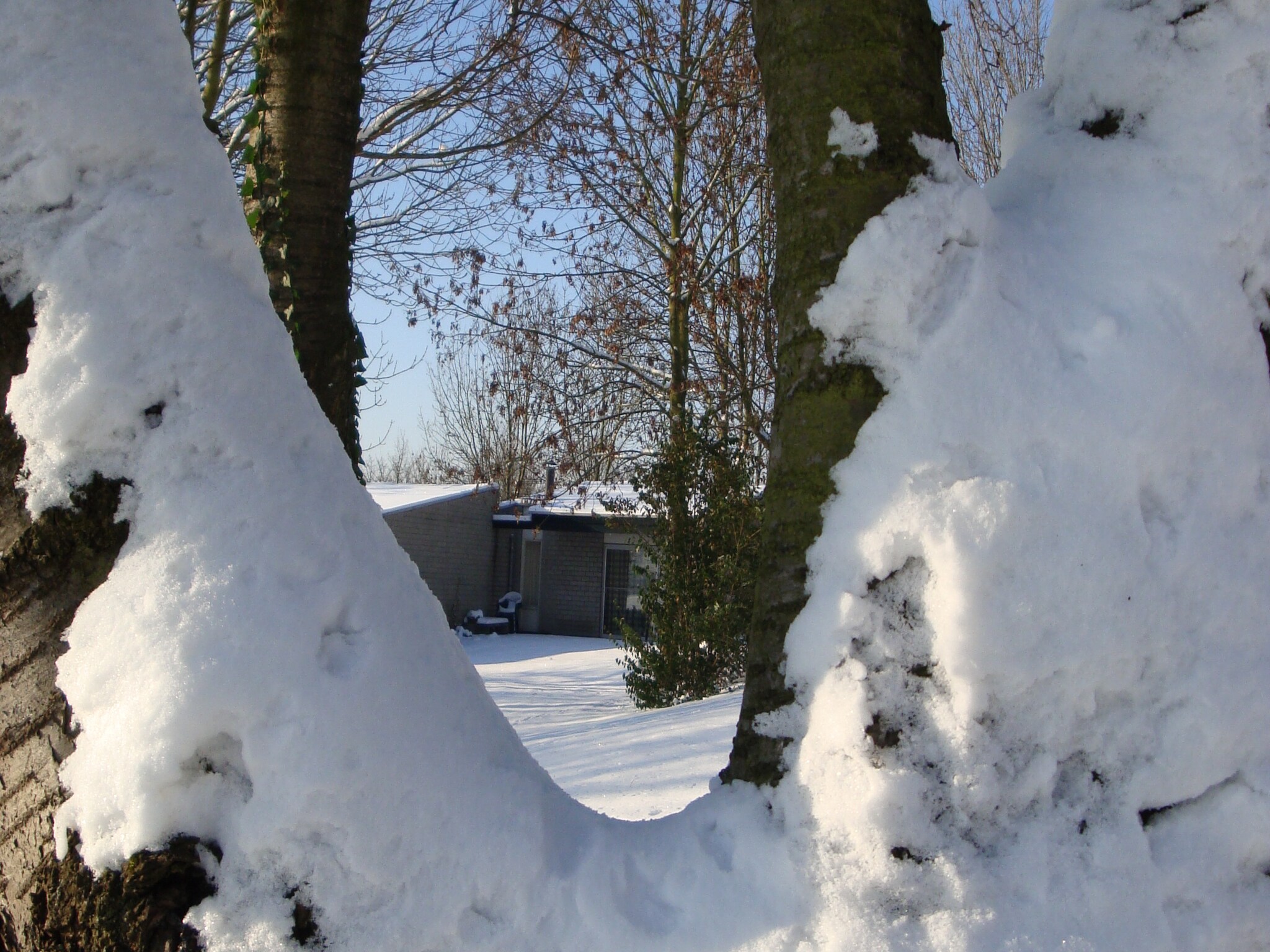 Casa di vacanze Bungalowpark Schin op Geul 6