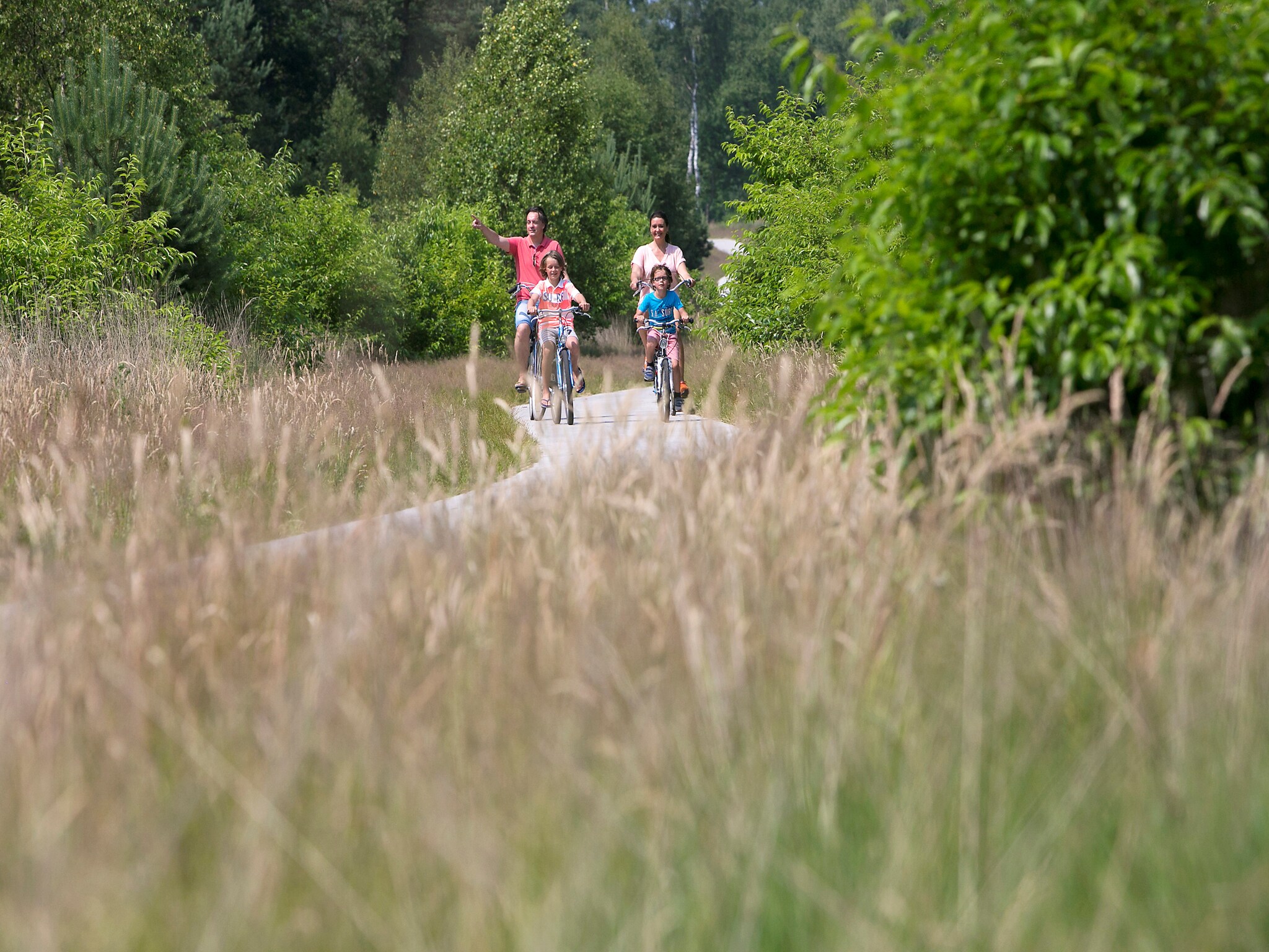 Feriebolig Resort De Achterhoek 10