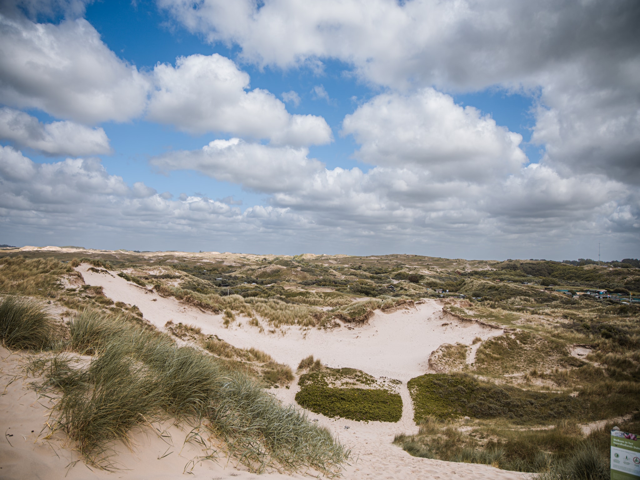   De ZeeParel Sea Fish