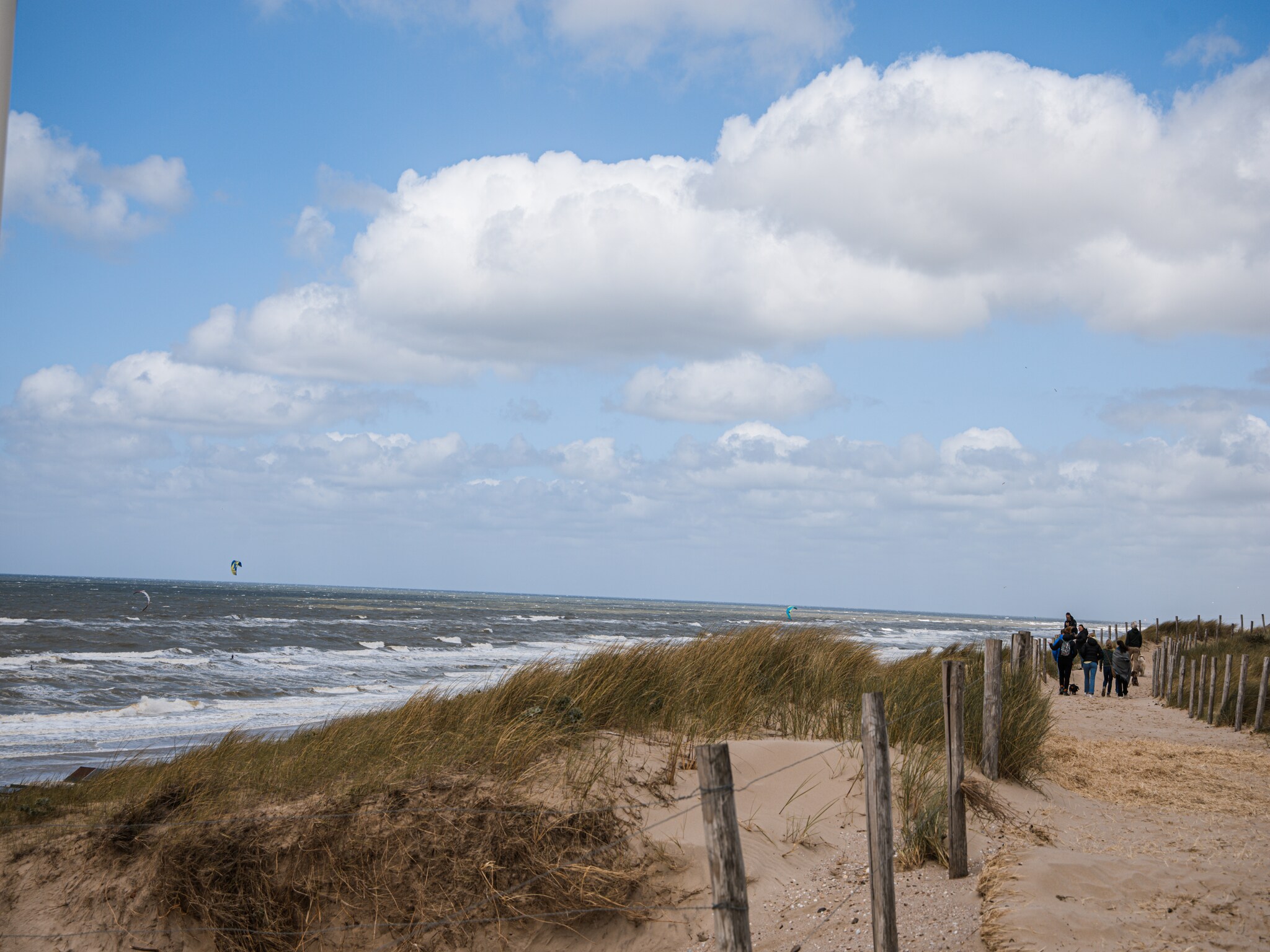   De ZeeParel Sea Fish