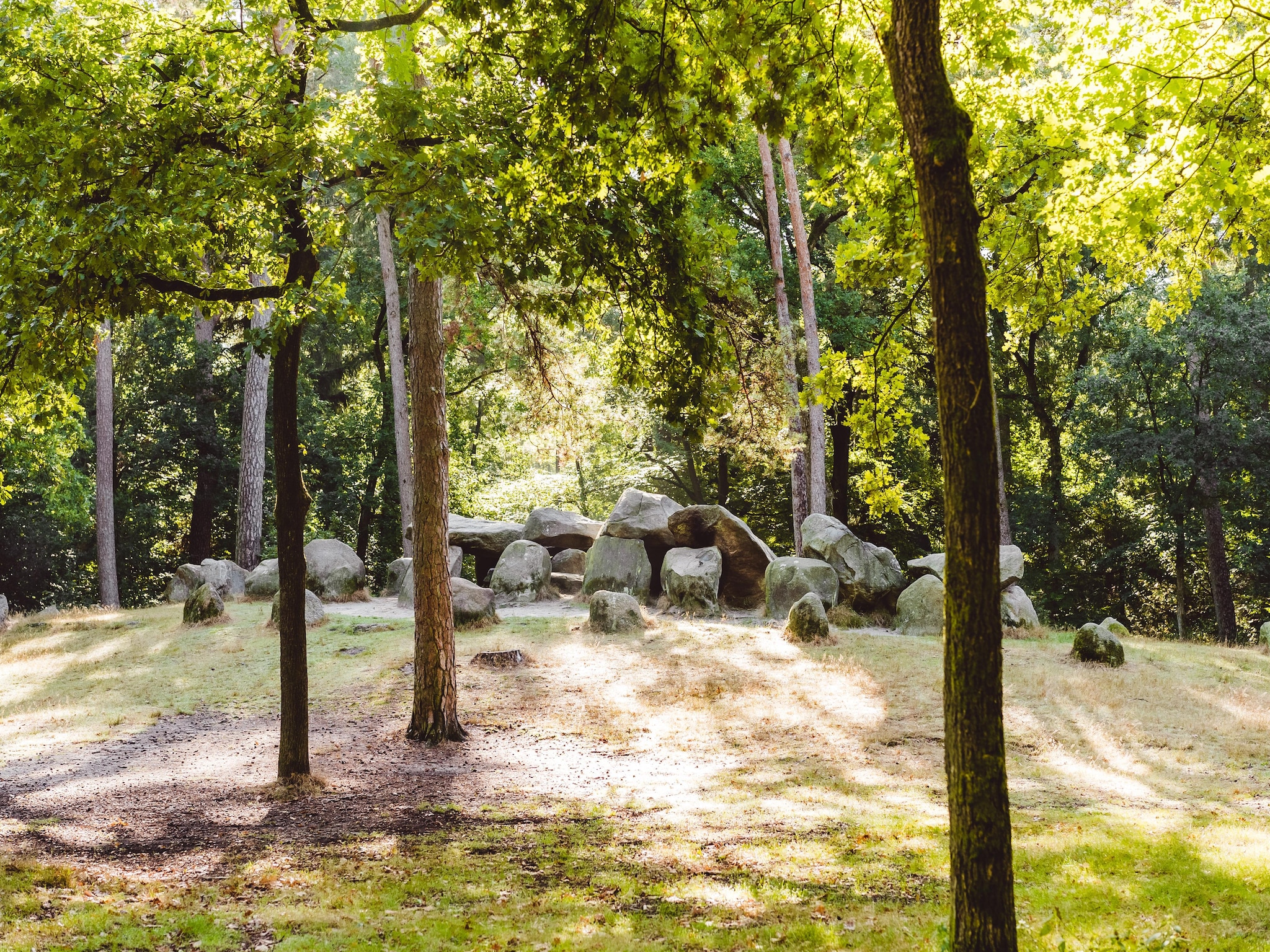 Feriebolig Hunzepark 2