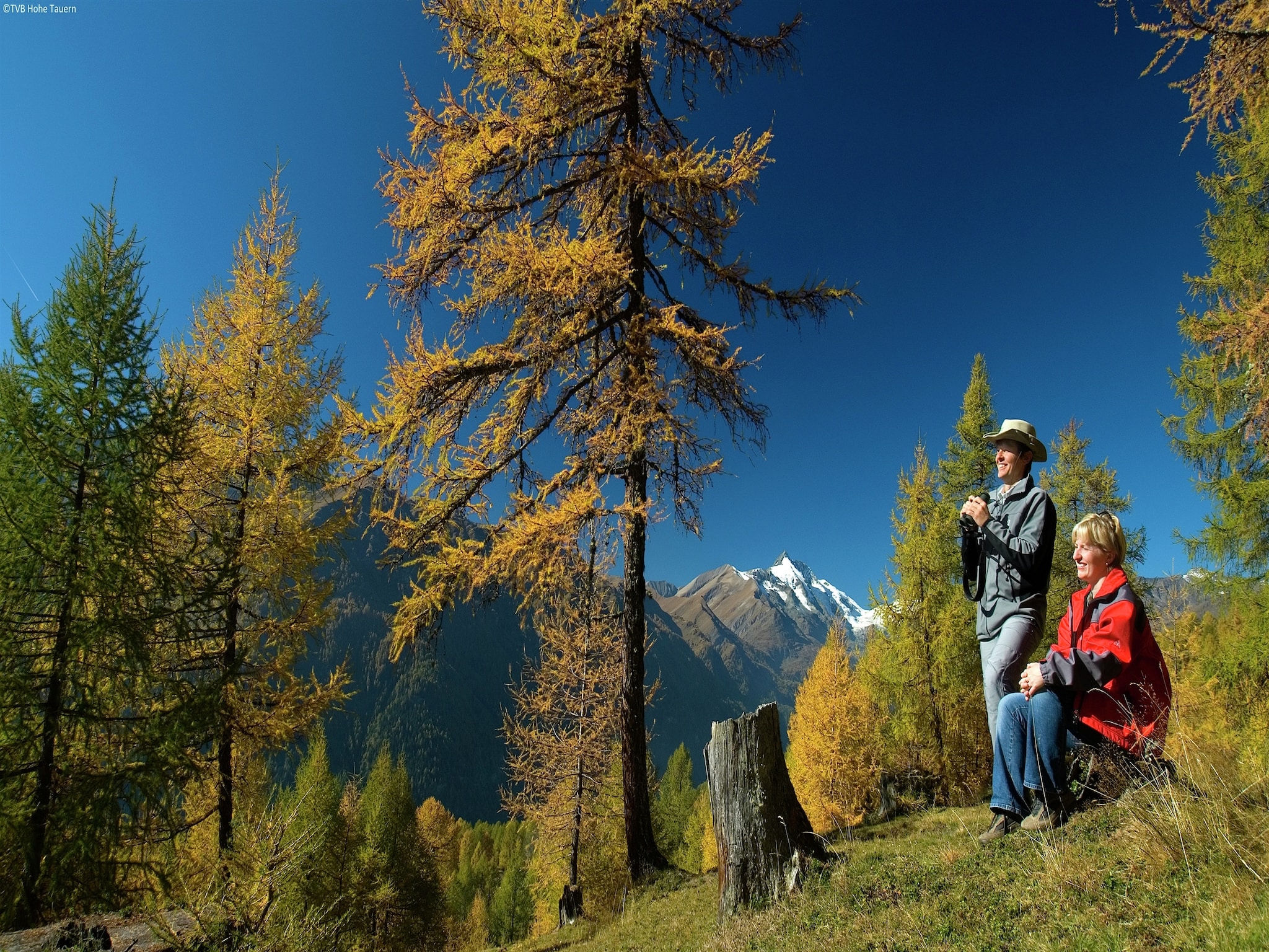 Ferienwohnung Appartement Sonnenalp