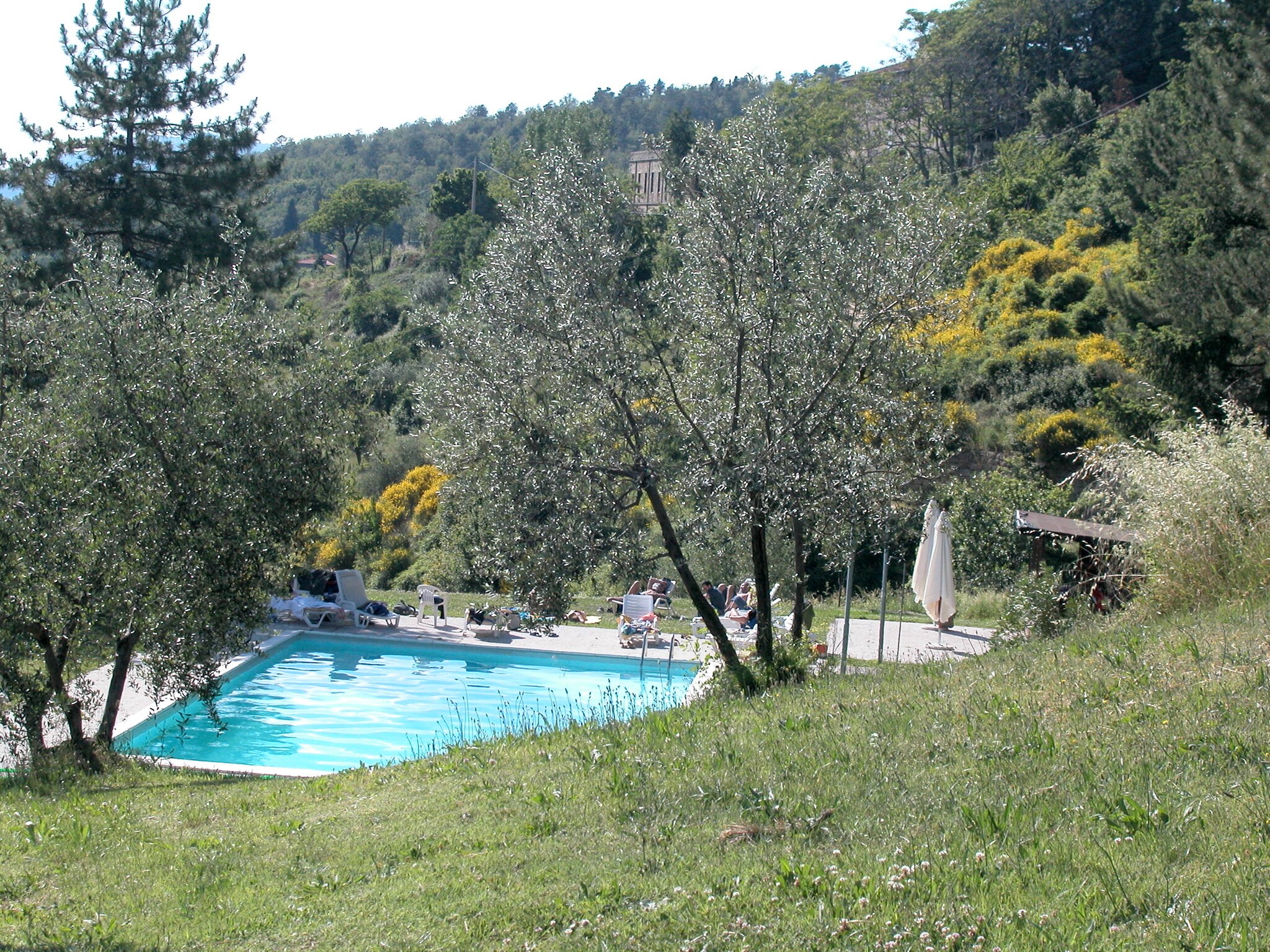 Vakantiehuis Casa Sequoia