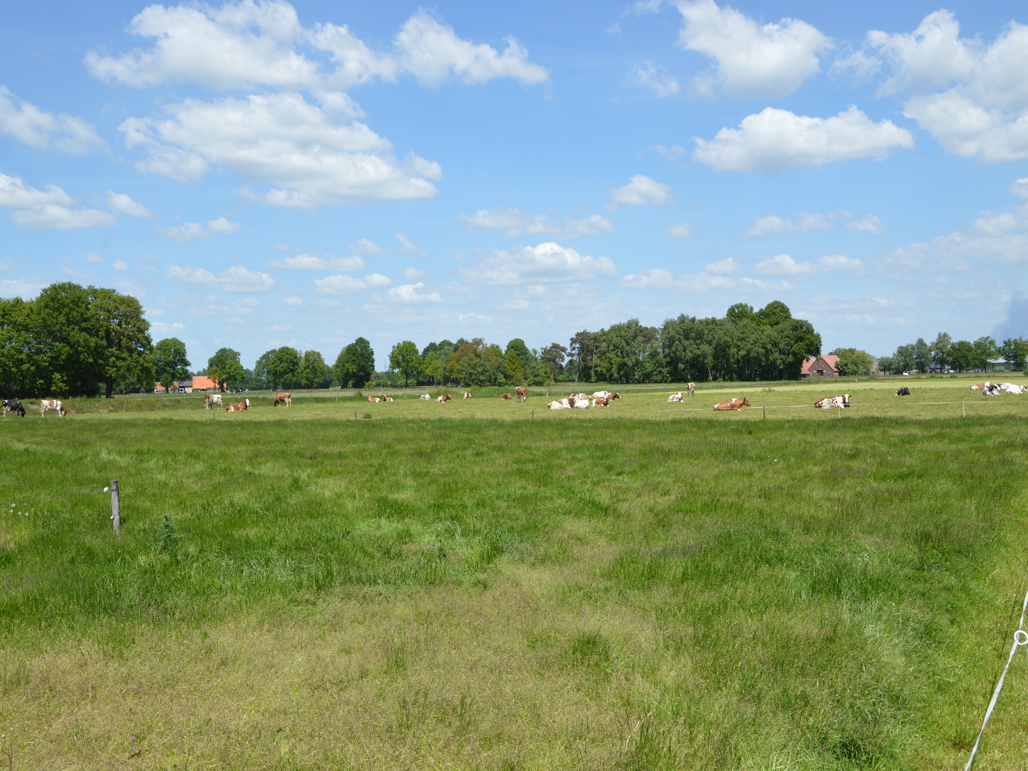 Mieszkanie De Eik