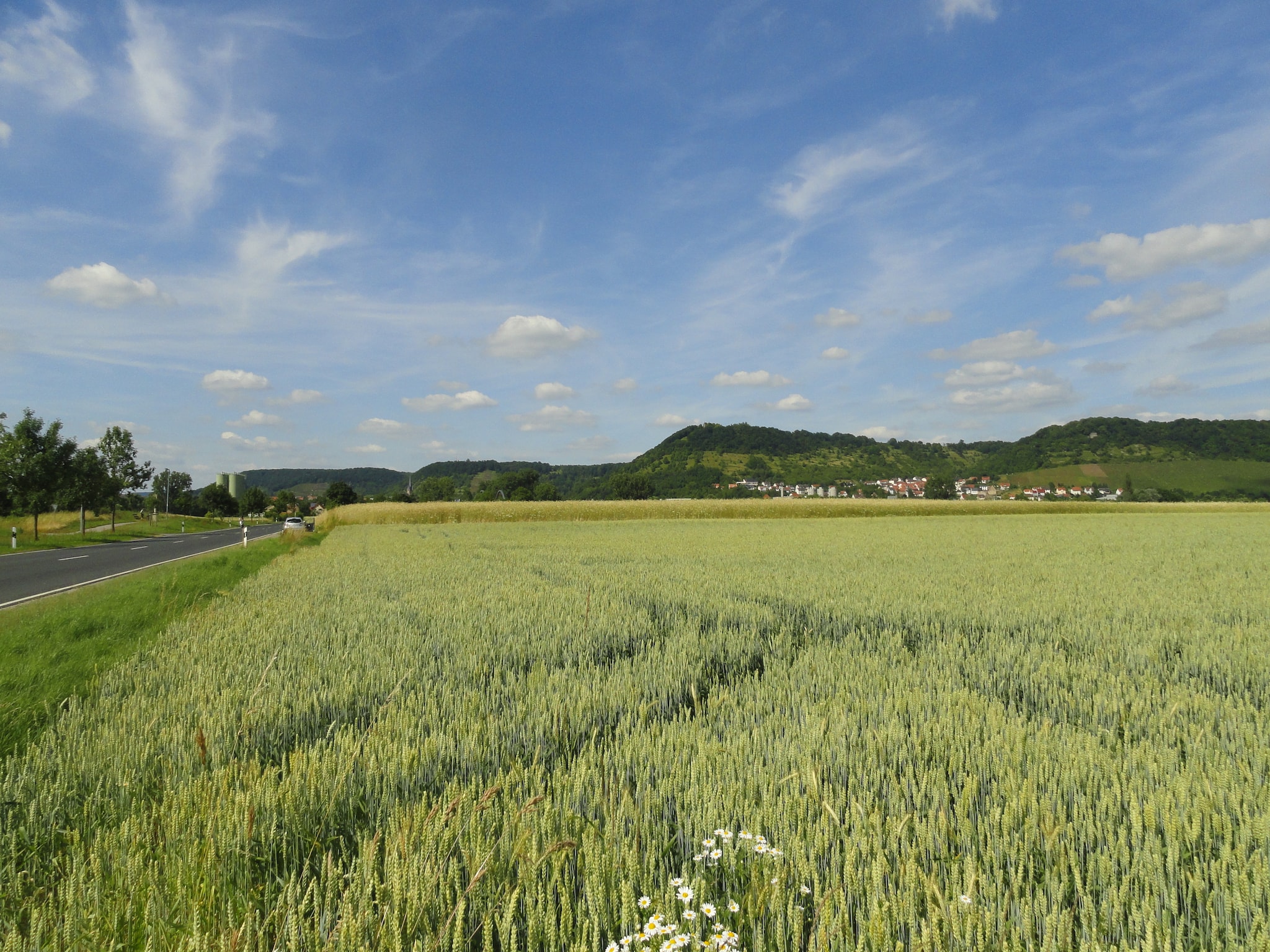 Vacation home Wilder Wein