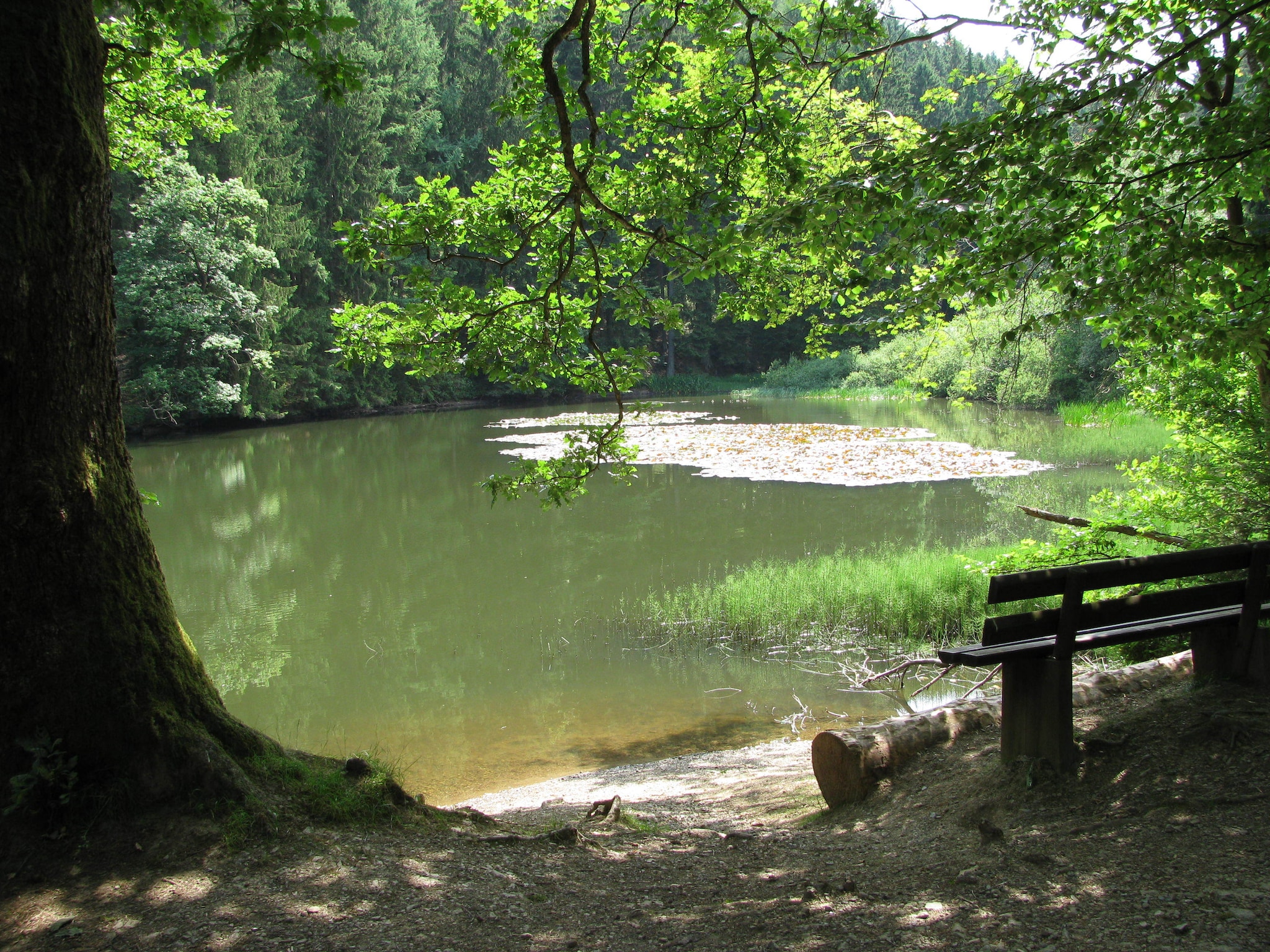   Waldhäuschen