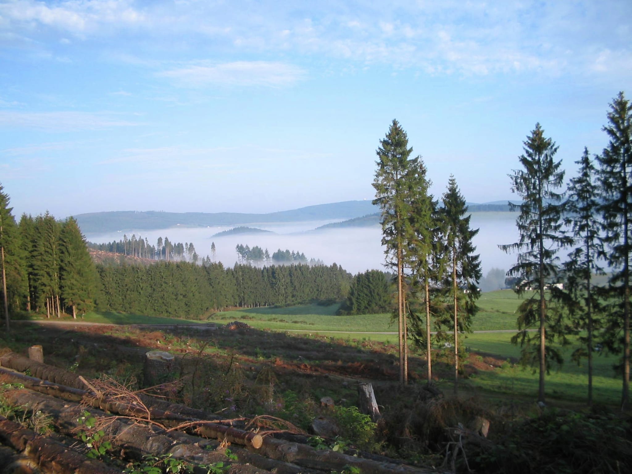   Waldhäuschen