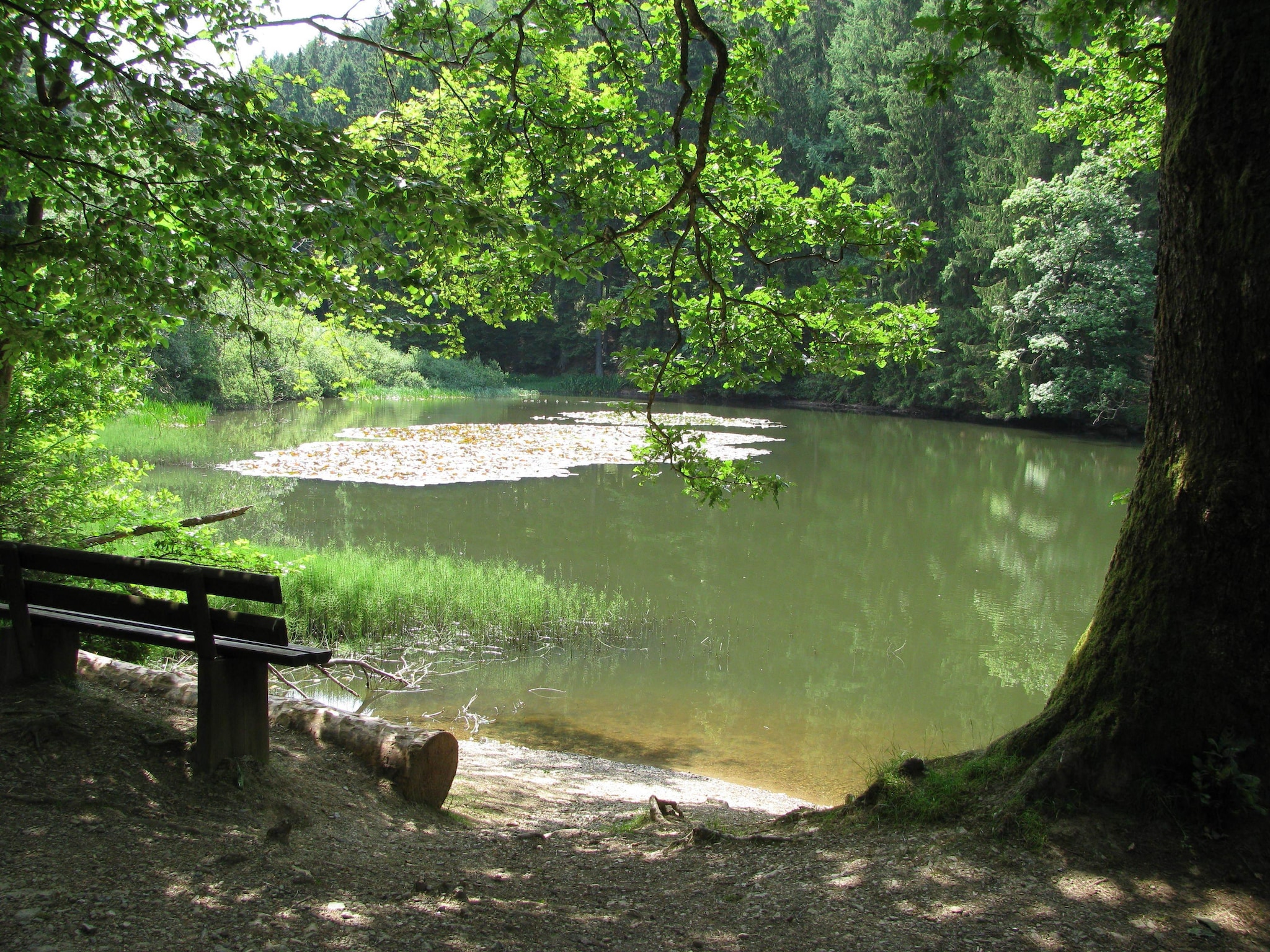   Waldhäuschen