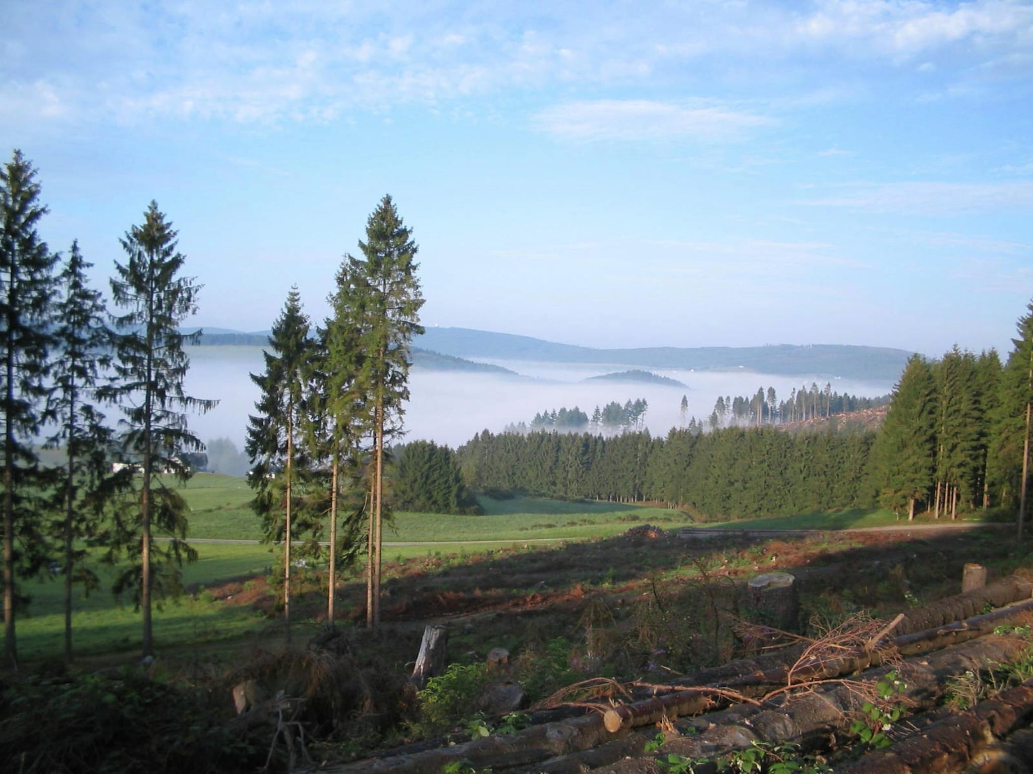   Waldhäuschen