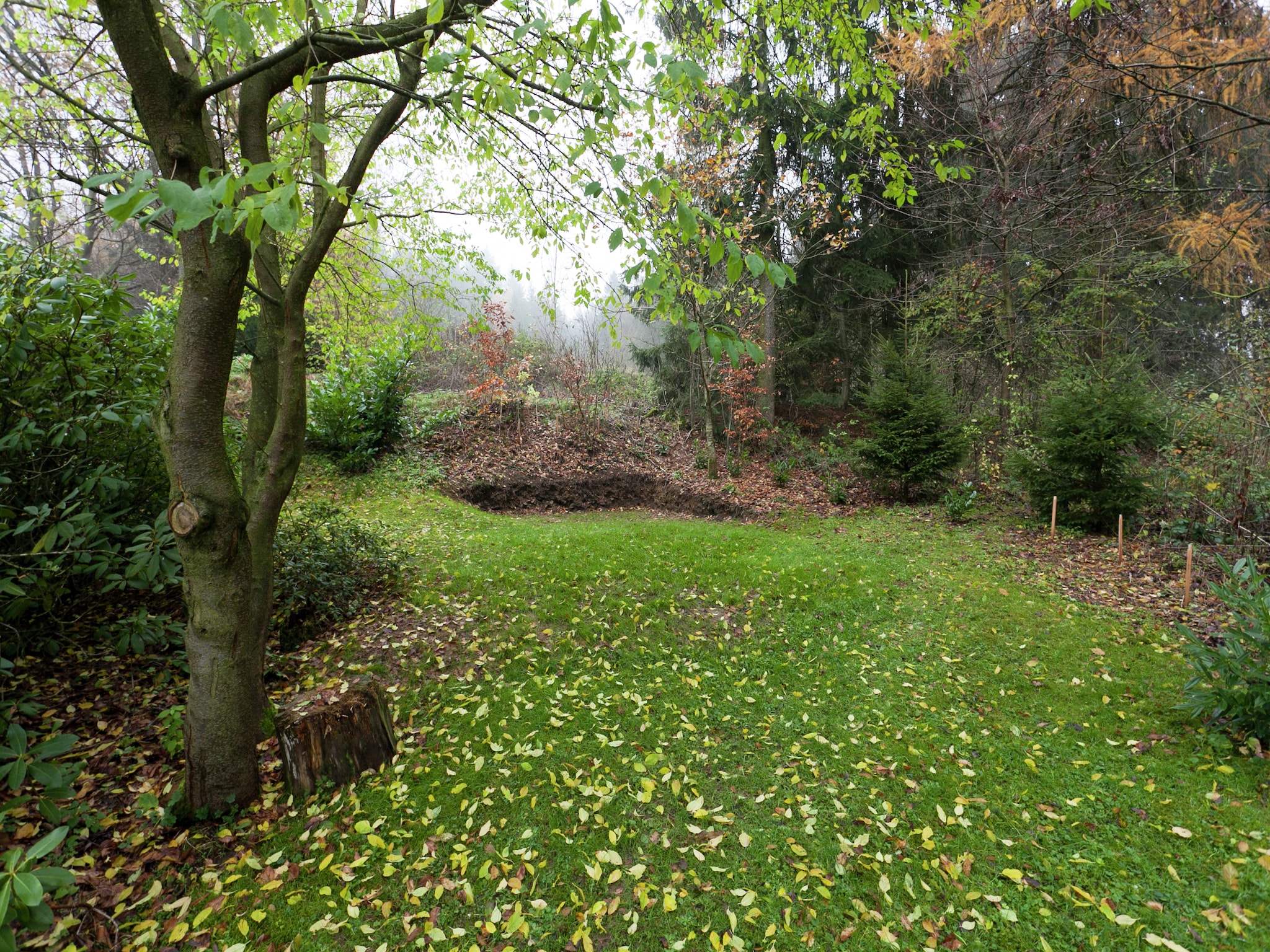Ferienwohnung Am Berg