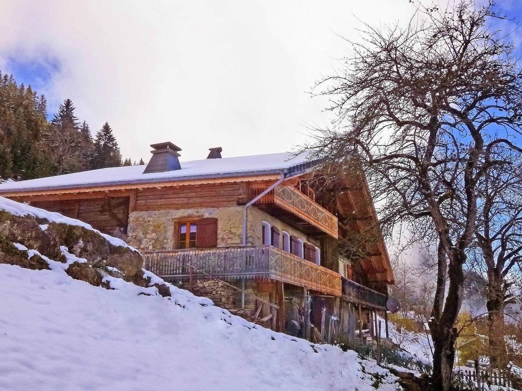 Ferienhaus Chalet Petit Châtel
