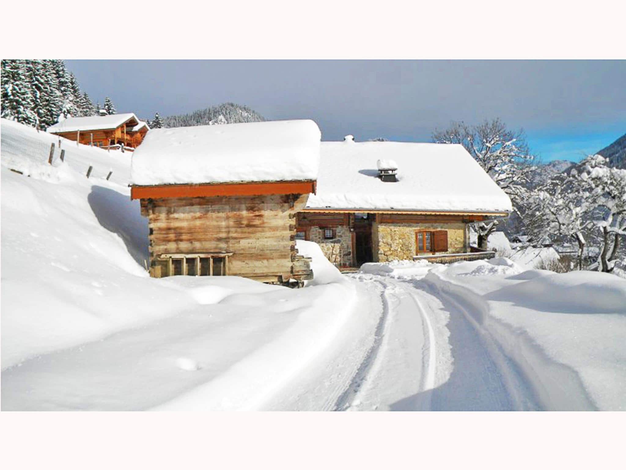 Ferienhaus Chalet Petit Châtel