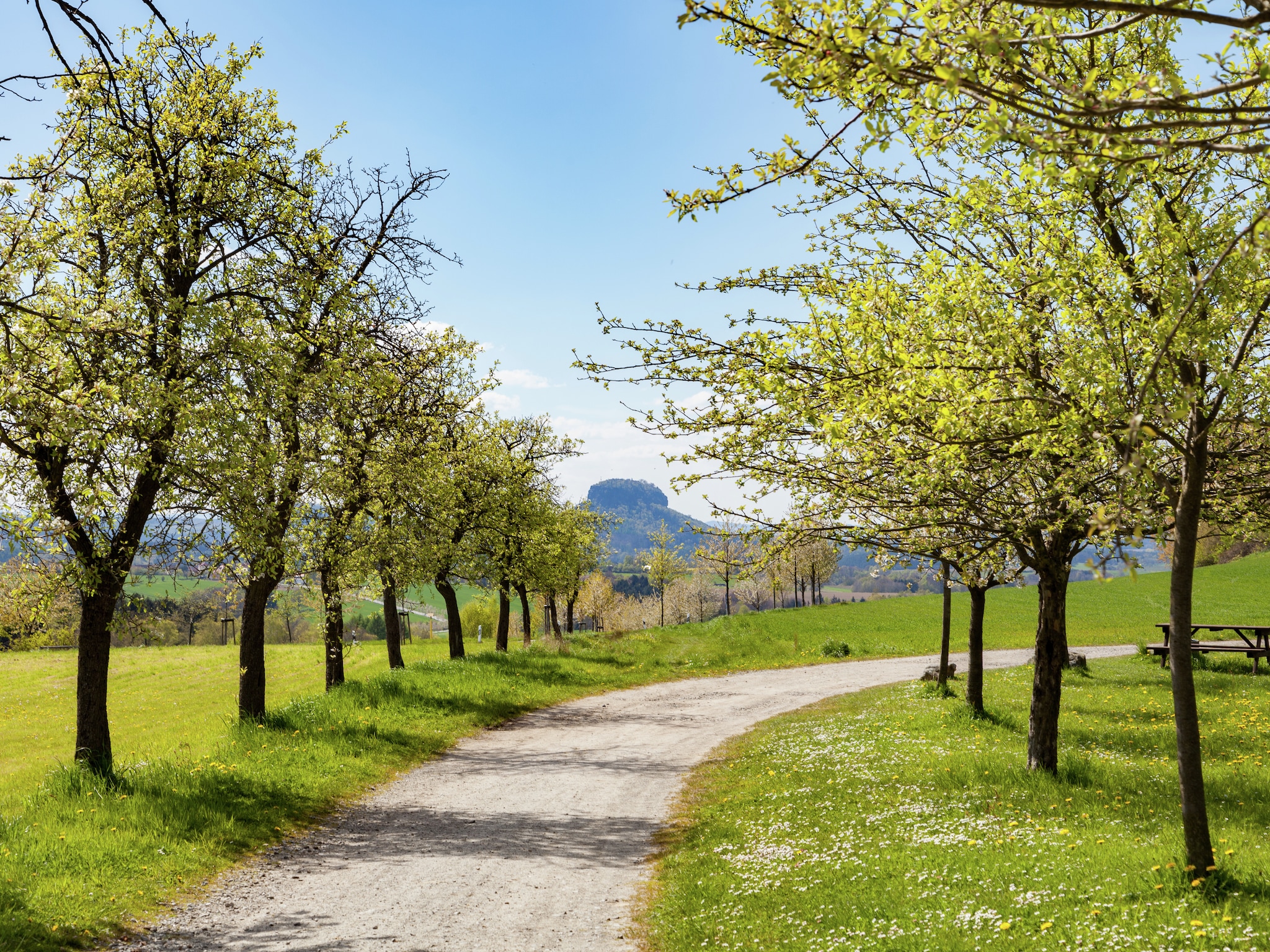   Sächsische Schweiz