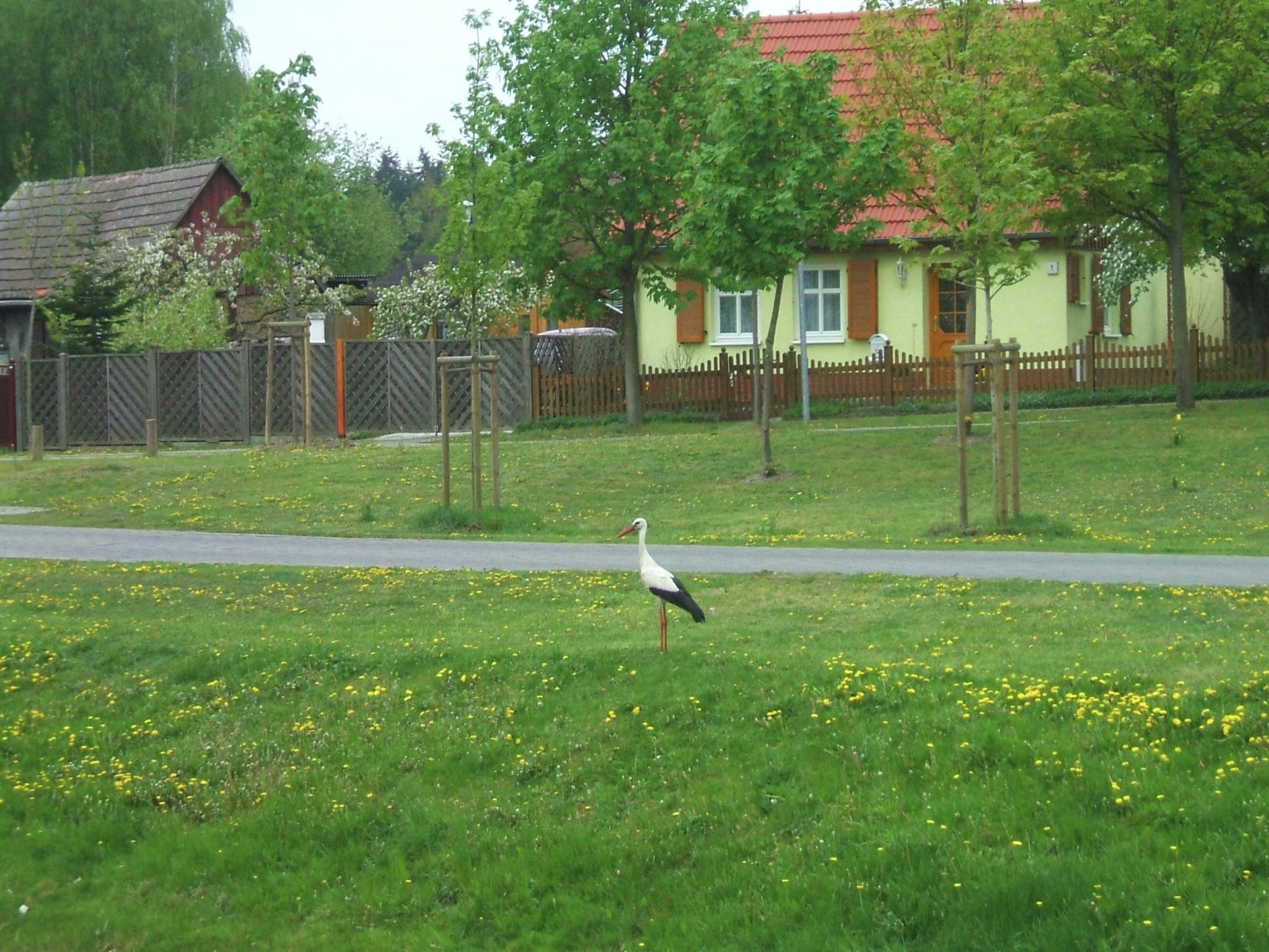   Ferienhaus Storchenblick