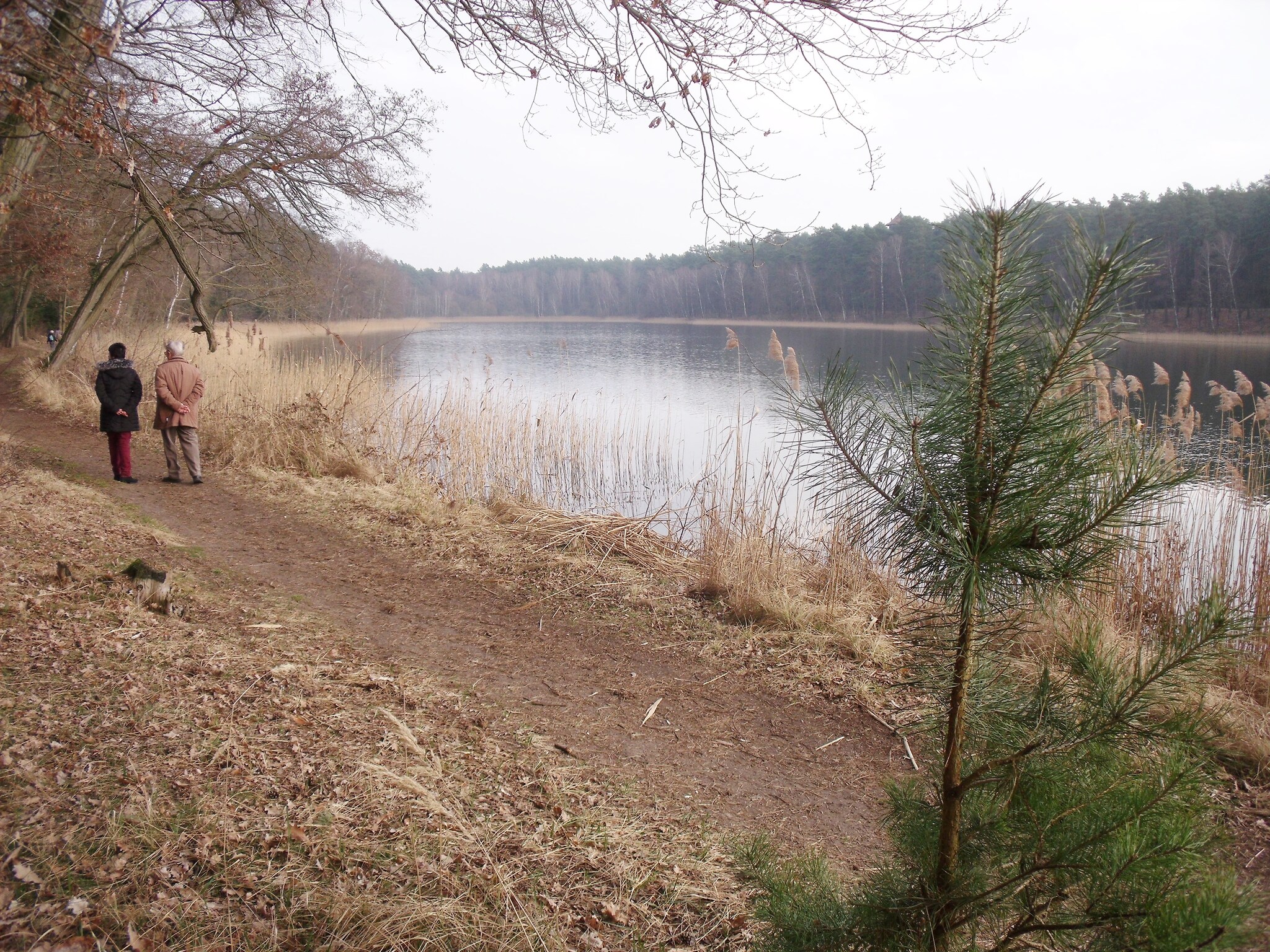   Ferienhaus Storchenblick