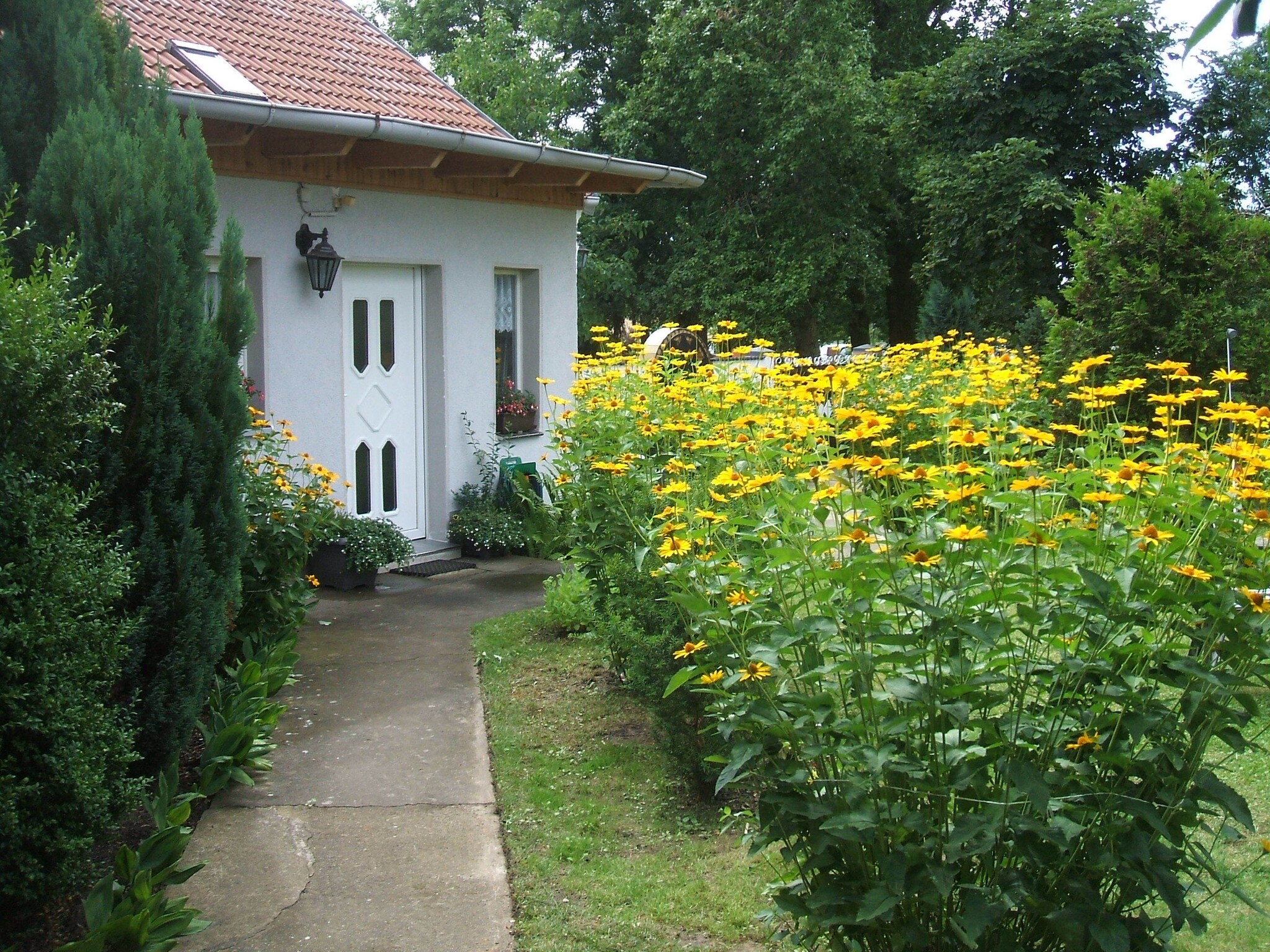   Ferienhaus Storchenblick