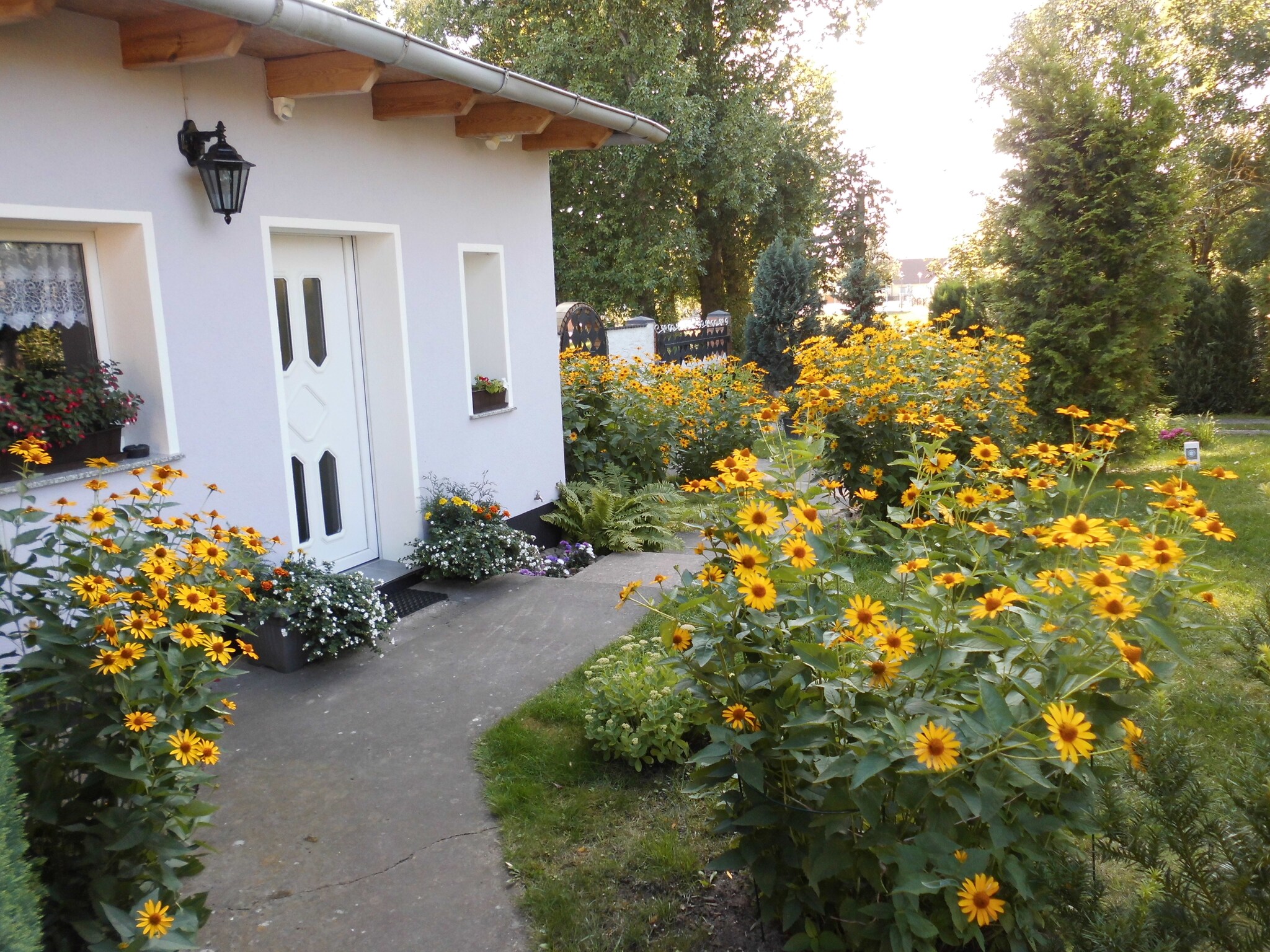   Ferienhaus Storchenblick