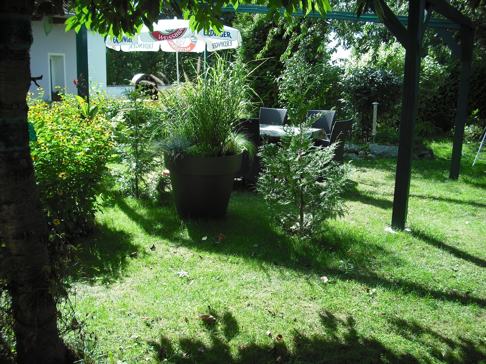   Ferienhaus Storchenblick