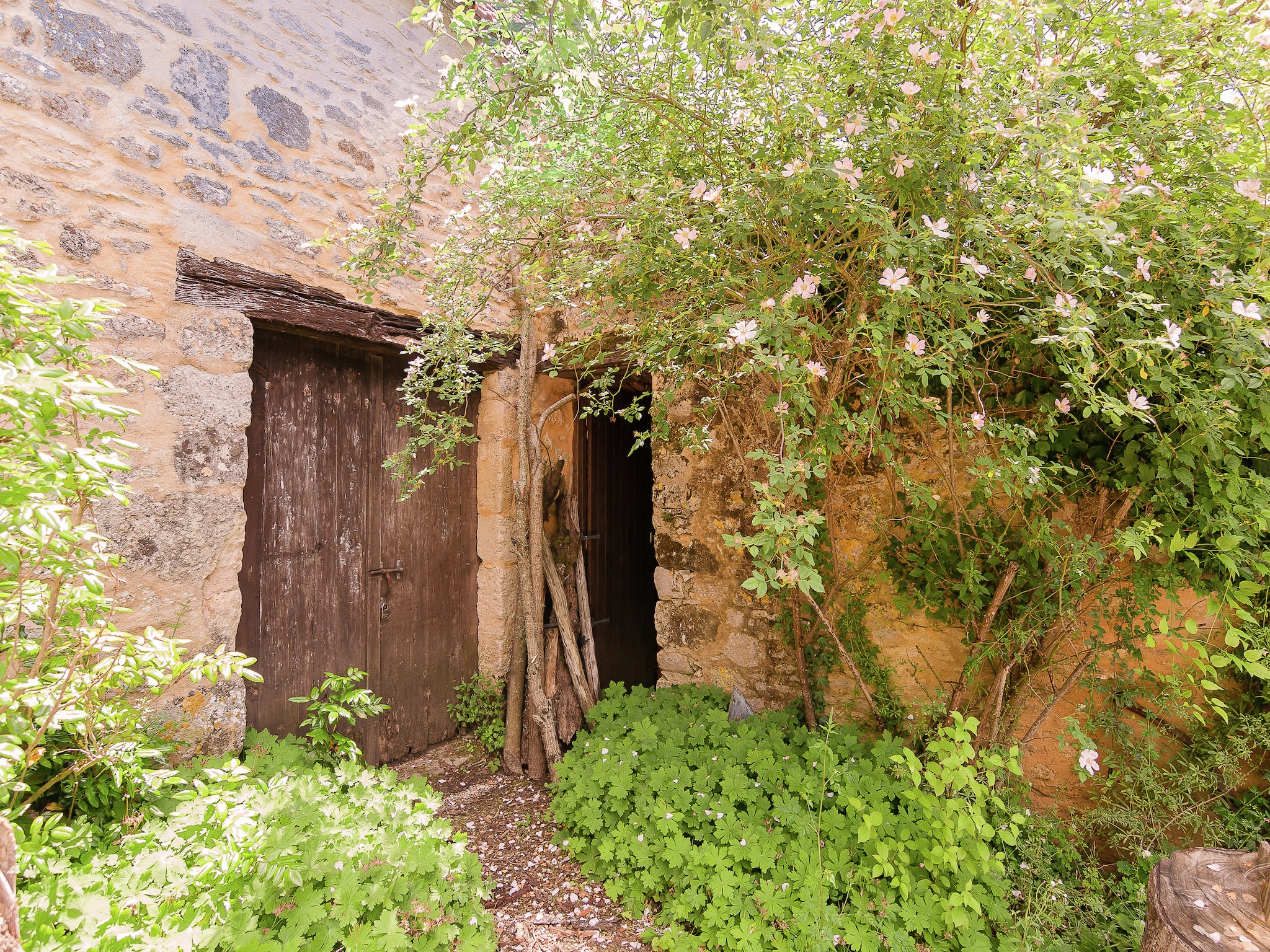 Maison Domaine de la Borderie