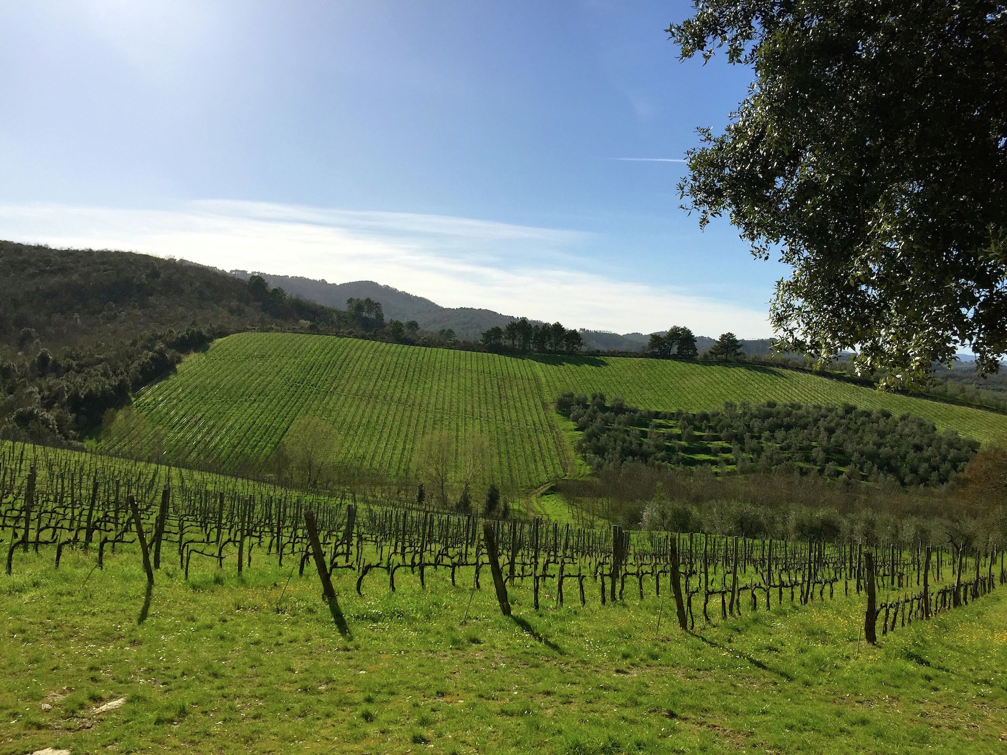 Ferienhaus il Coppo
