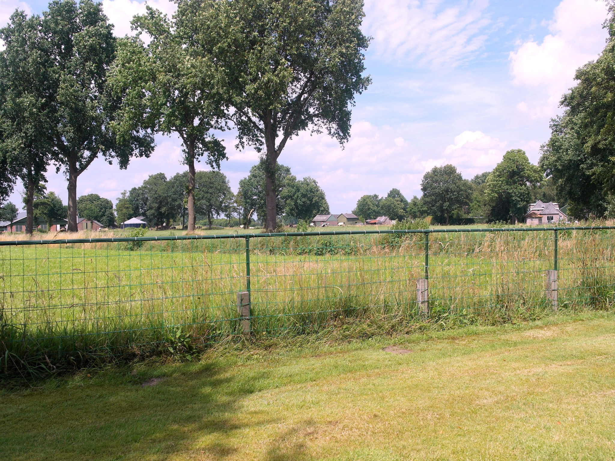   De Merel