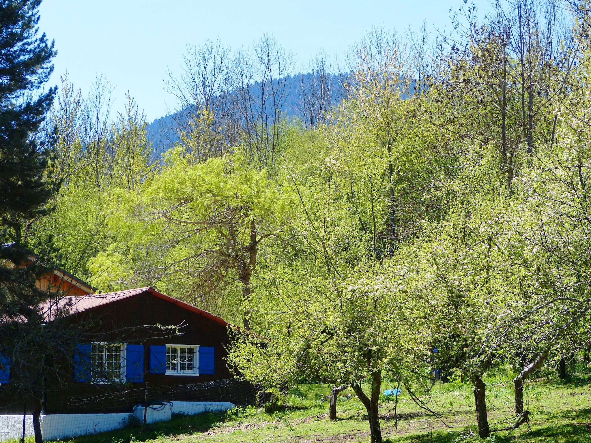   A little house in the mountains