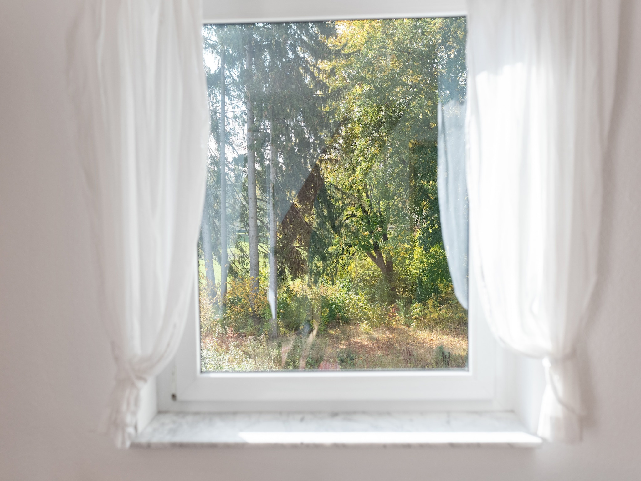 Ferienwohnung Park Blick