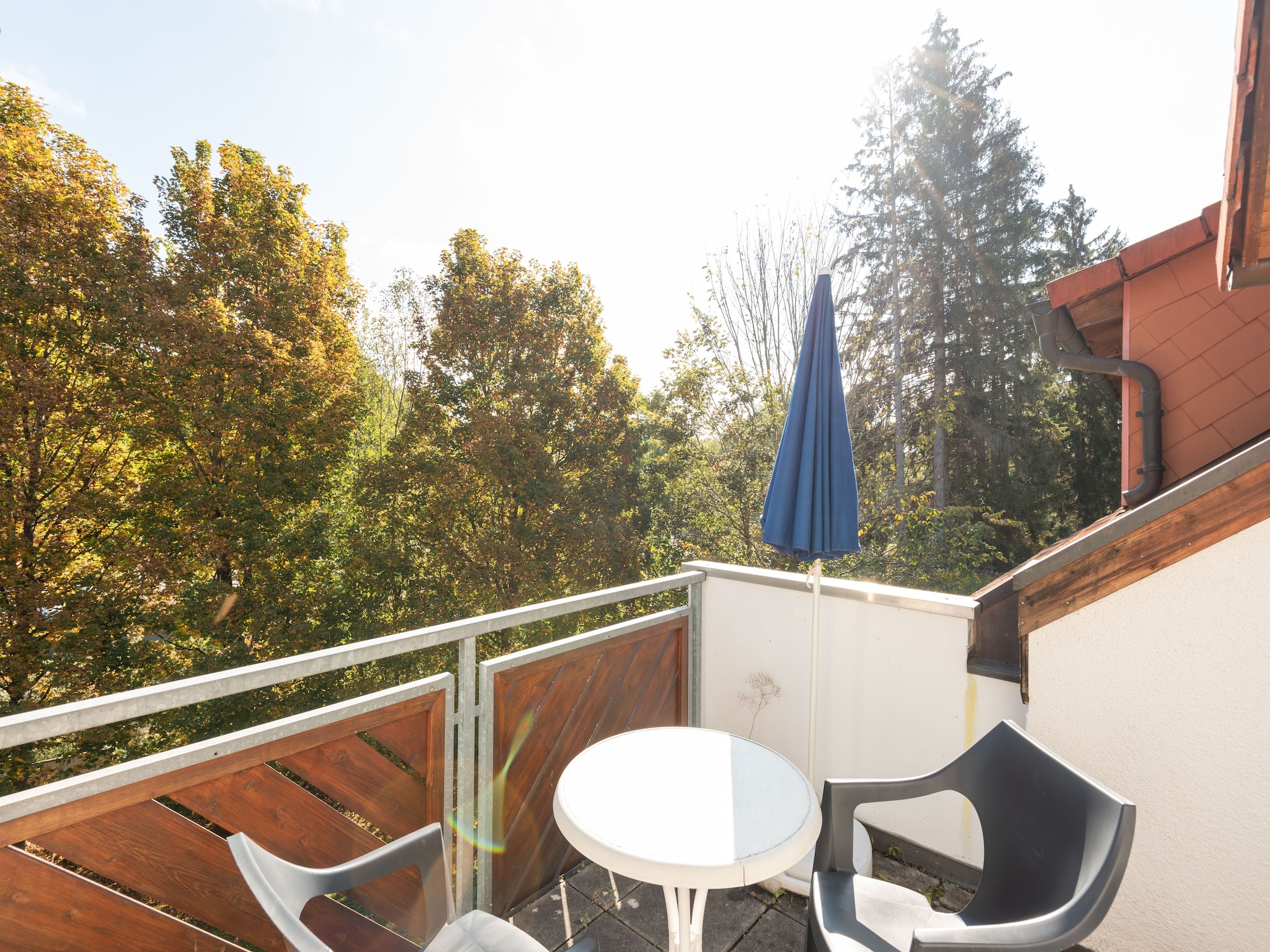 Ferienwohnung Park Blick
